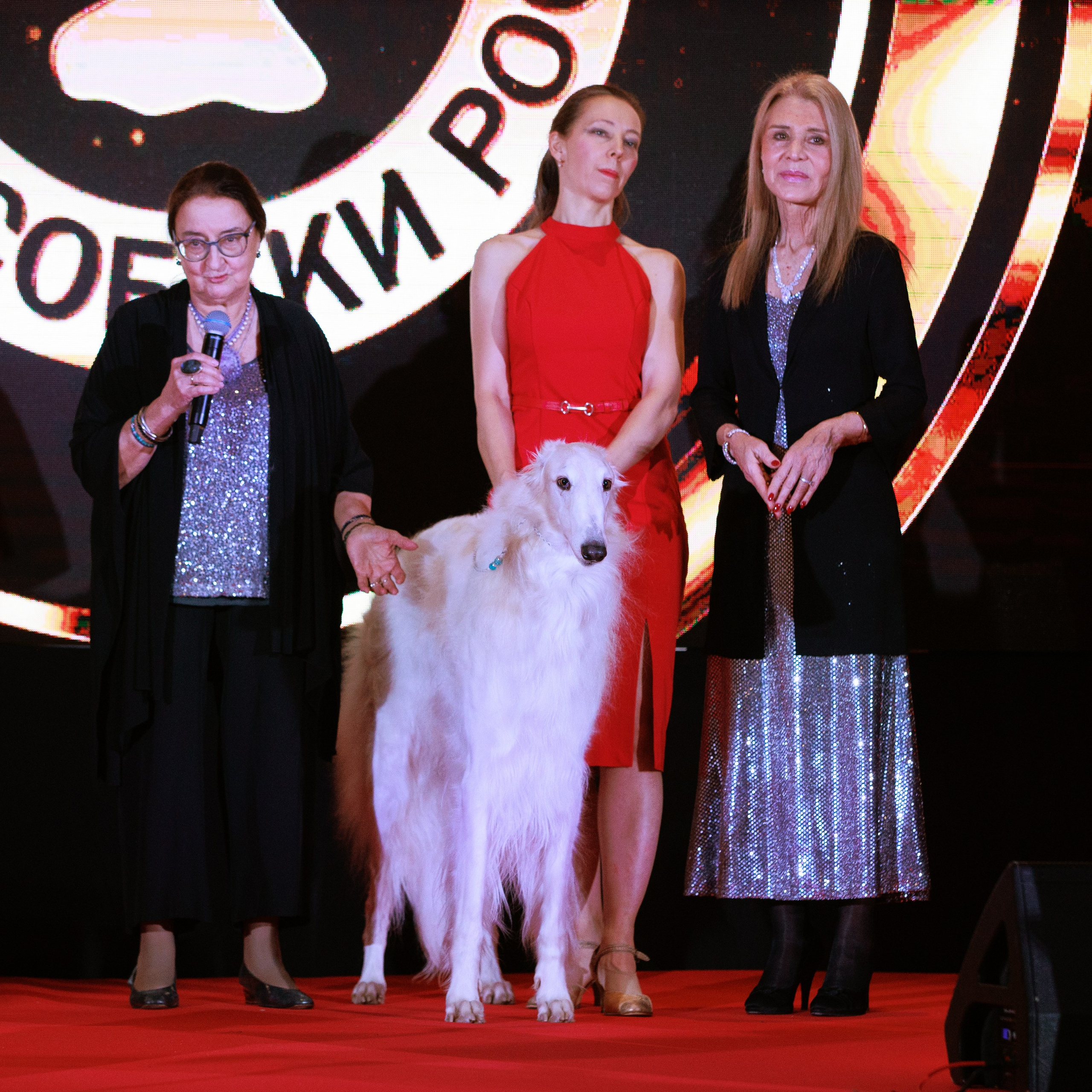 Репортаж с церемонии «BEST RUSSIAN DOG 2024». ФОТОГРАФ-АНИМАЛИСТ l LANA POLYAKOVA
