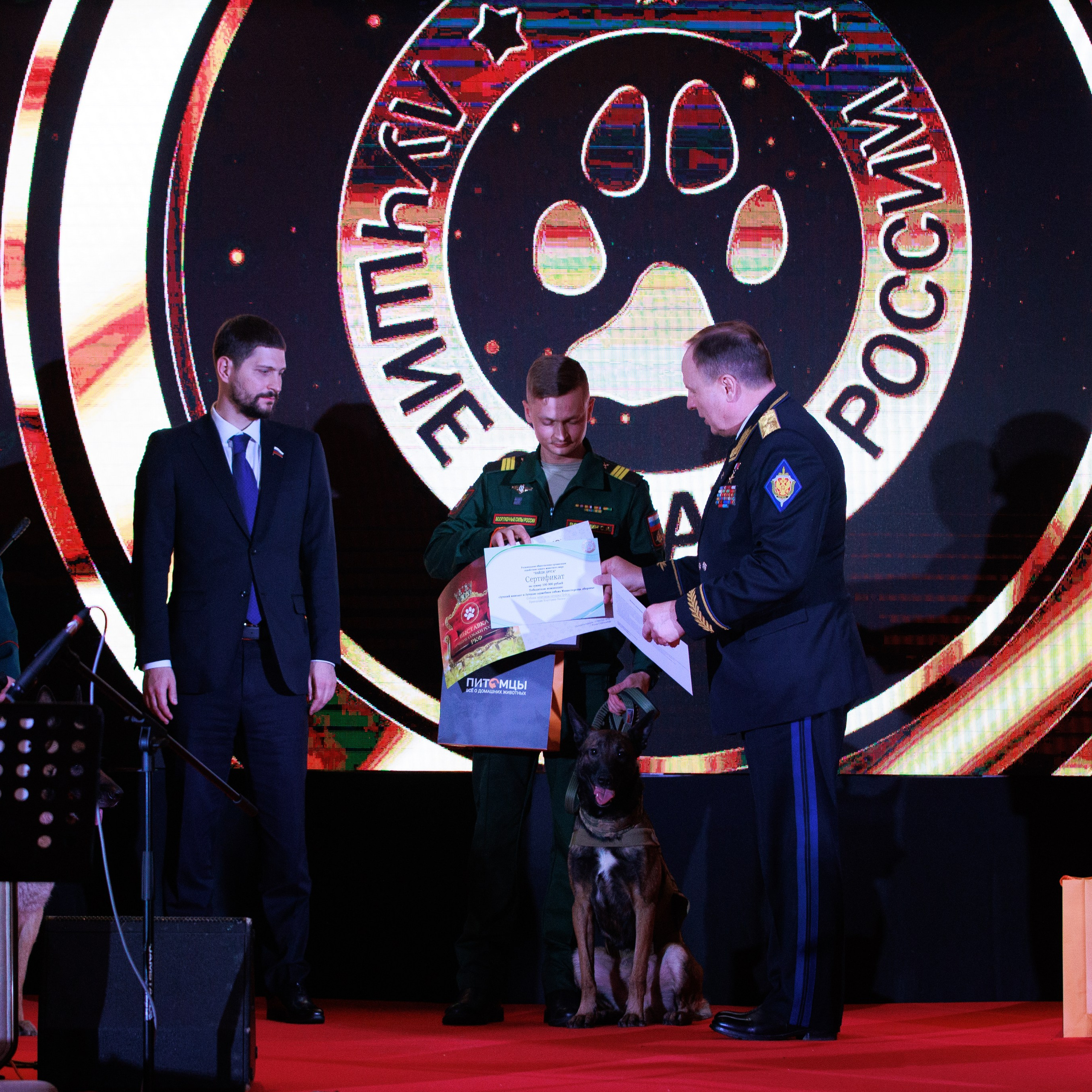 Репортаж с церемонии «BEST RUSSIAN DOG 2024». ФОТОГРАФ-АНИМАЛИСТ l LANA POLYAKOVA