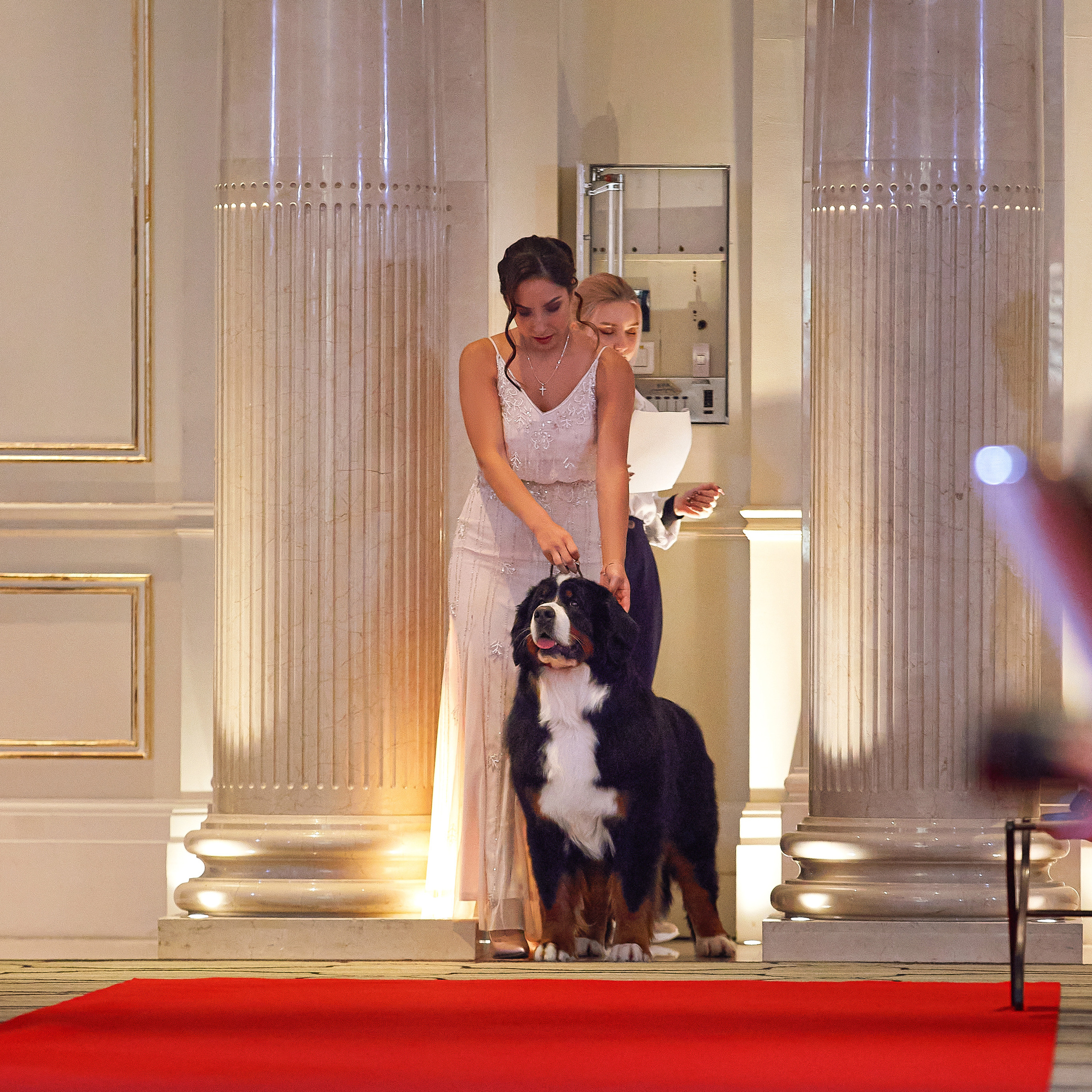 Репортаж с церемонии «BEST RUSSIAN DOG 2021». ФОТОГРАФ-АНИМАЛИСТ l LANA POLYAKOVA