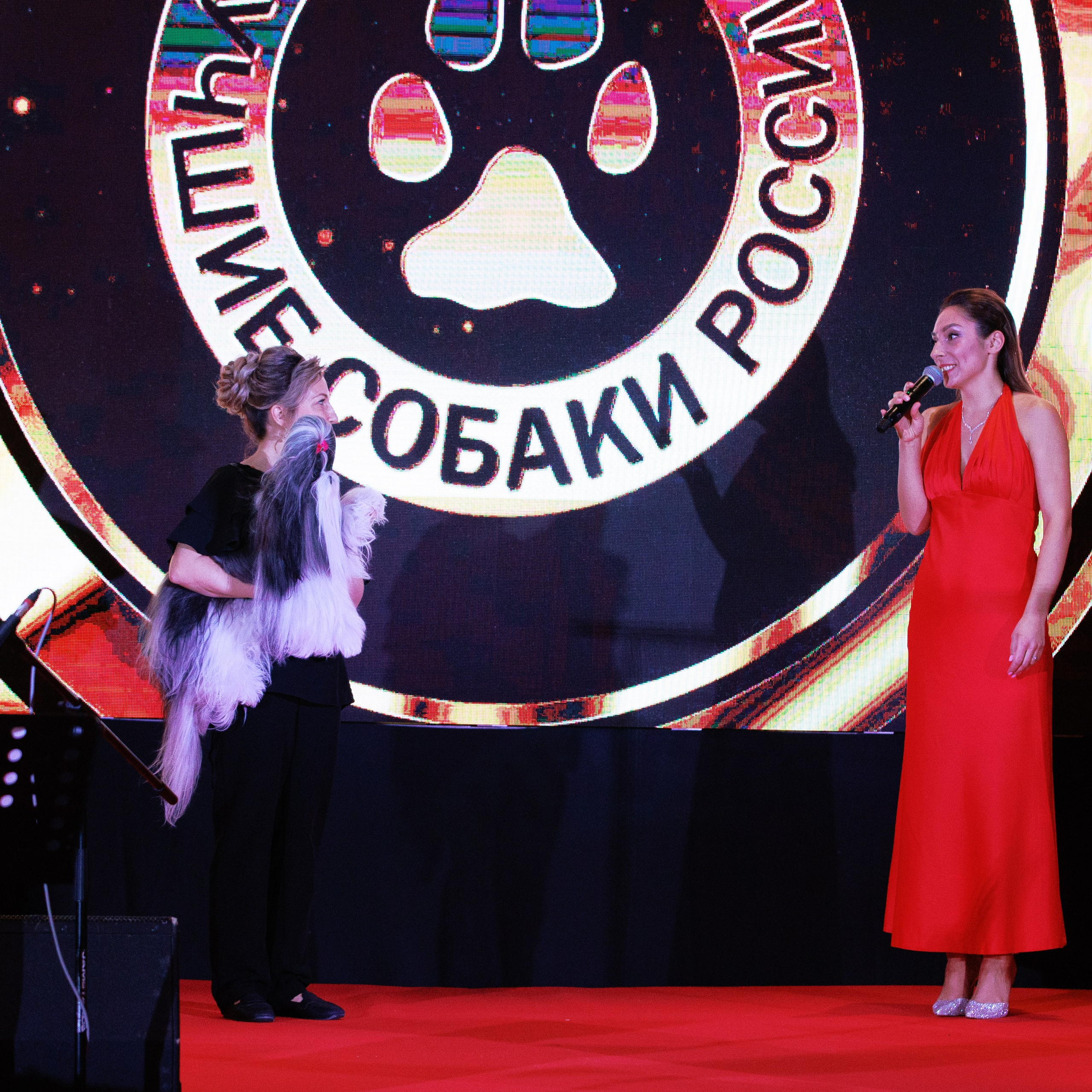 Репортаж с церемонии «BEST RUSSIAN DOG 2024». ФОТОГРАФ-АНИМАЛИСТ l LANA POLYAKOVA