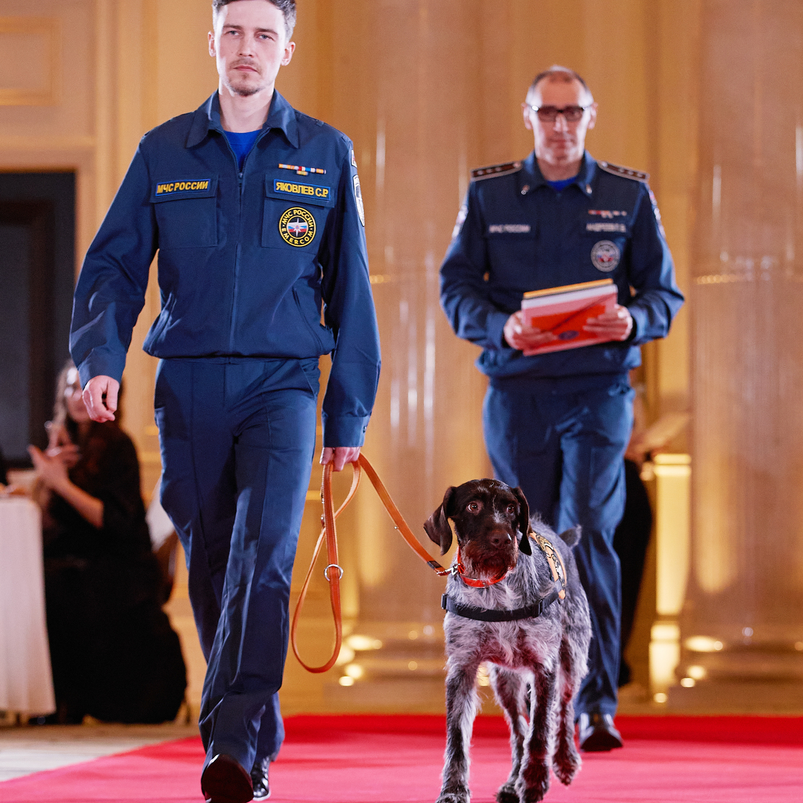 Репортаж с церемонии «BEST RUSSIAN DOG 2021». ФОТОГРАФ-АНИМАЛИСТ l LANA POLYAKOVA