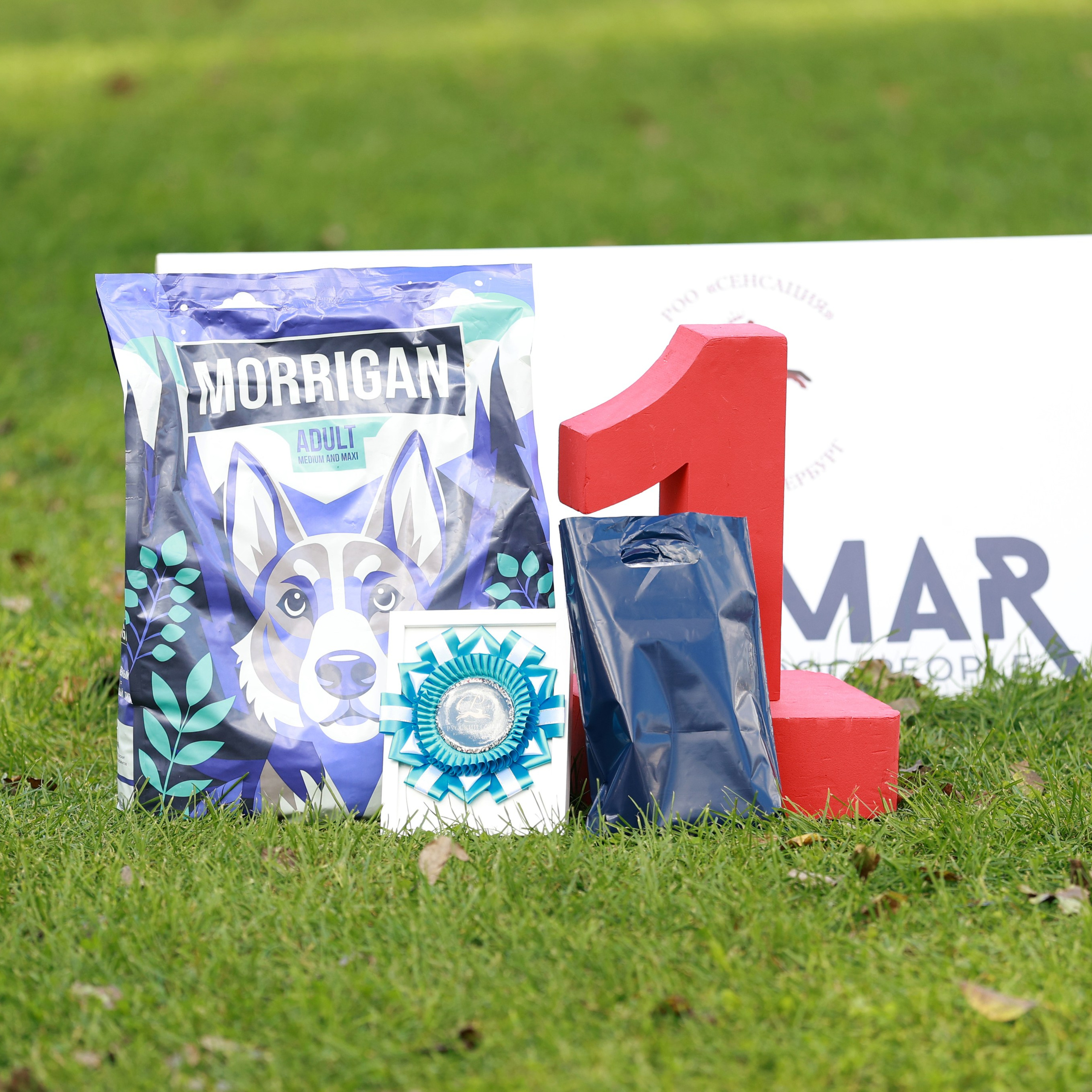 27-28.09.2025 ВЫСТАВКИ СОБАК ВСЕХ ПОРОД (САС, ЧРКФ, ЧФ). ФОТОГРАФ-АНИМАЛИСТ l LANA POLYAKOVA