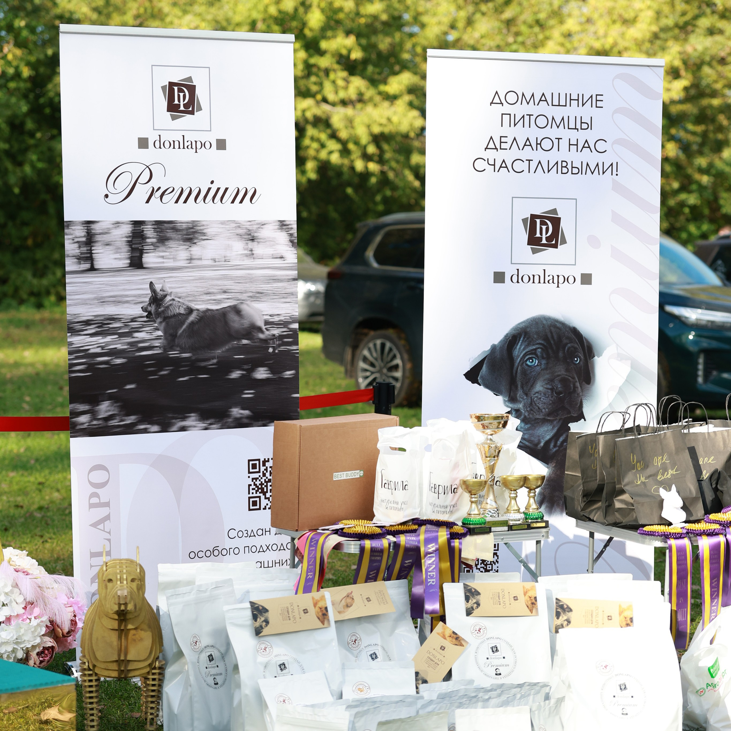 27-28.09.2025 ВЫСТАВКИ СОБАК ВСЕХ ПОРОД (САС, ЧРКФ, ЧФ). ФОТОГРАФ-АНИМАЛИСТ l LANA POLYAKOVA