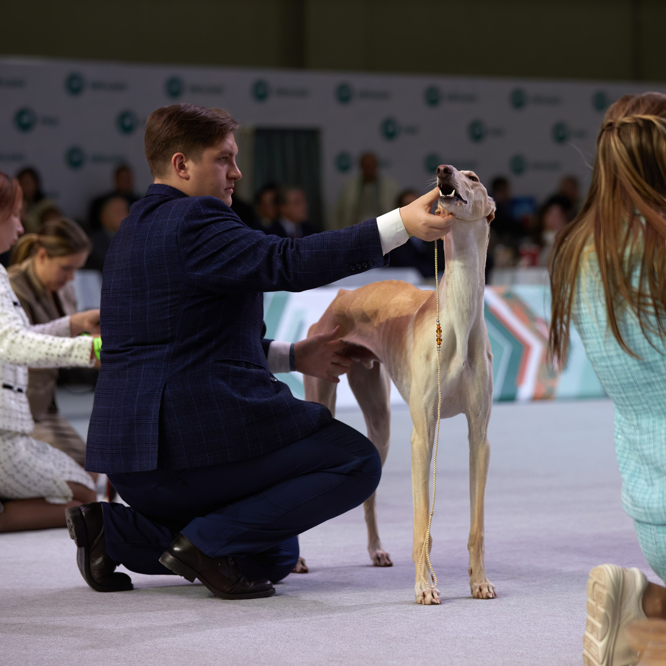 «ЕВРАЗИЯ-2024». ФОТОГРАФ-АНИМАЛИСТ l LANA POLYAKOVA