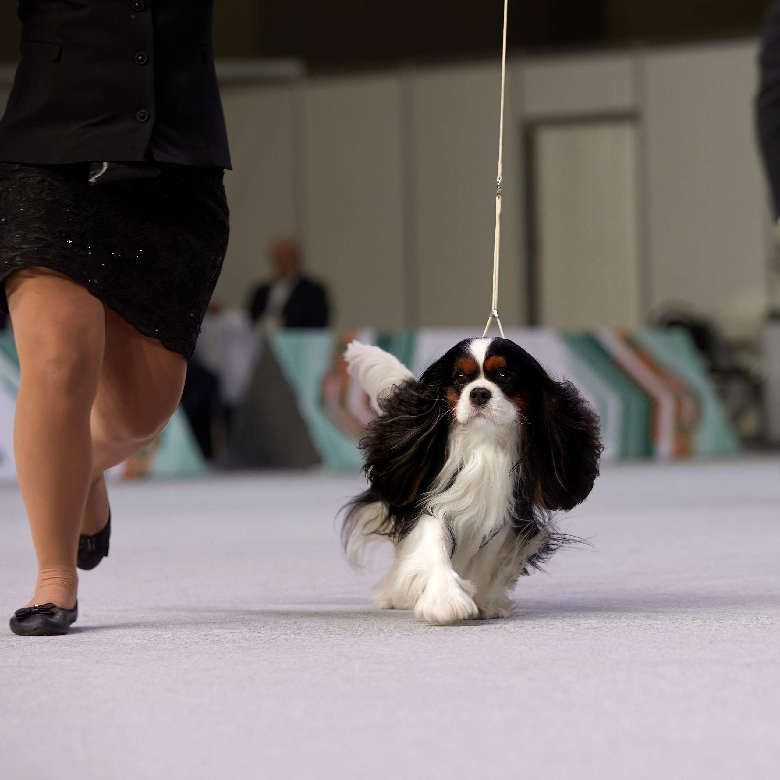 «ЕВРАЗИЯ-2024». ФОТОГРАФ-АНИМАЛИСТ l LANA POLYAKOVA