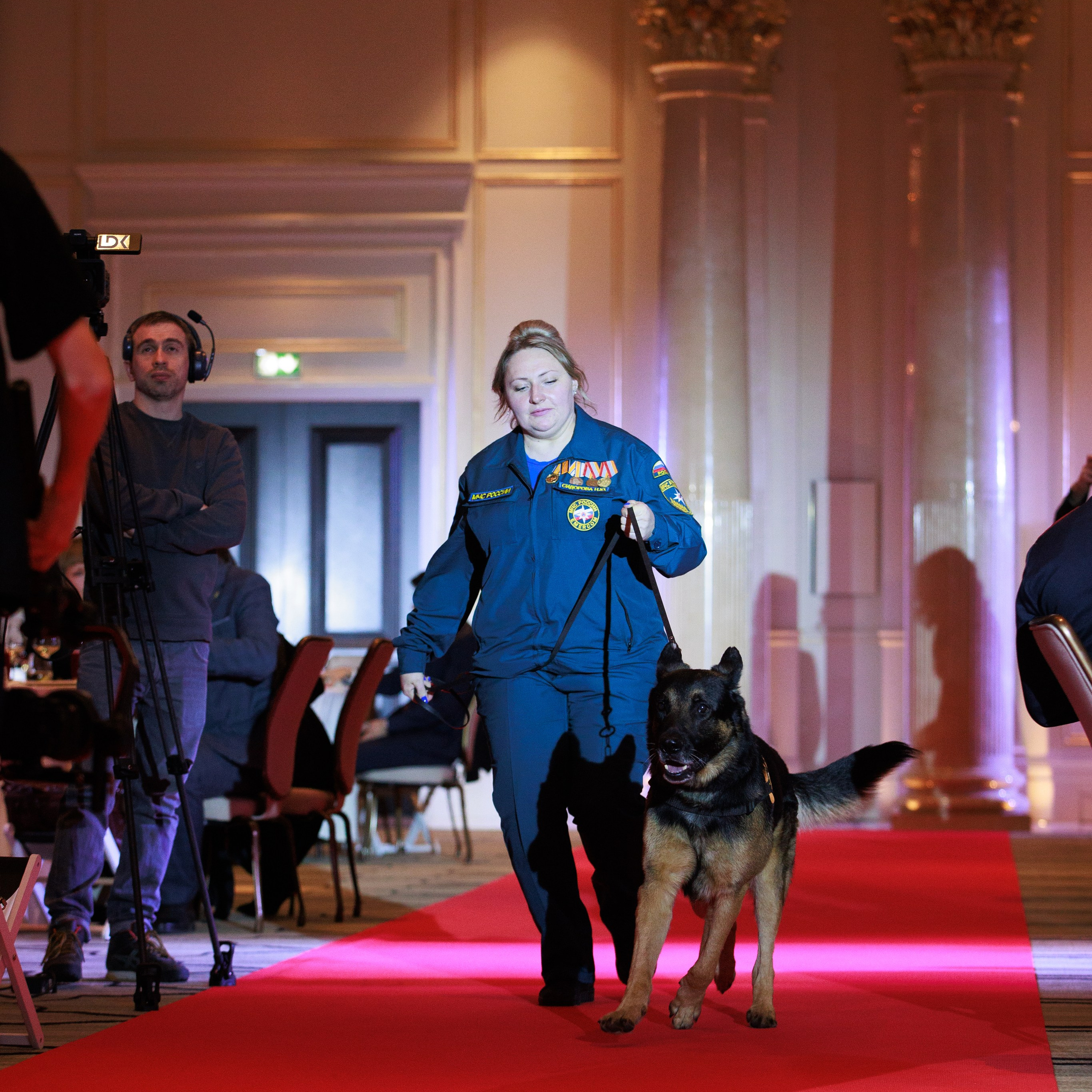 Репортаж с церемонии «BEST RUSSIAN DOG 2024». ФОТОГРАФ-АНИМАЛИСТ l LANA POLYAKOVA