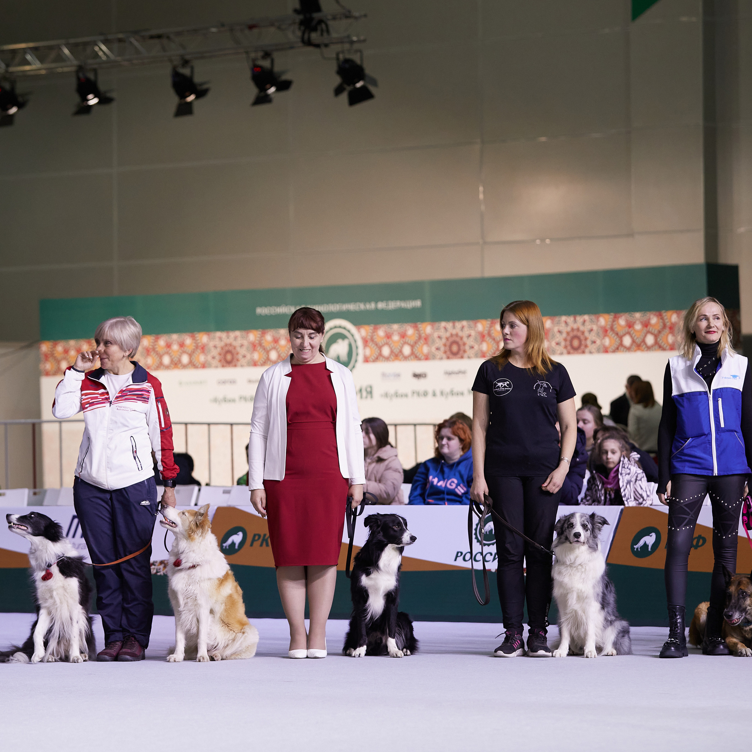 «Россия» в Крокусе. ФОТОГРАФ-АНИМАЛИСТ l LANA POLYAKOVA