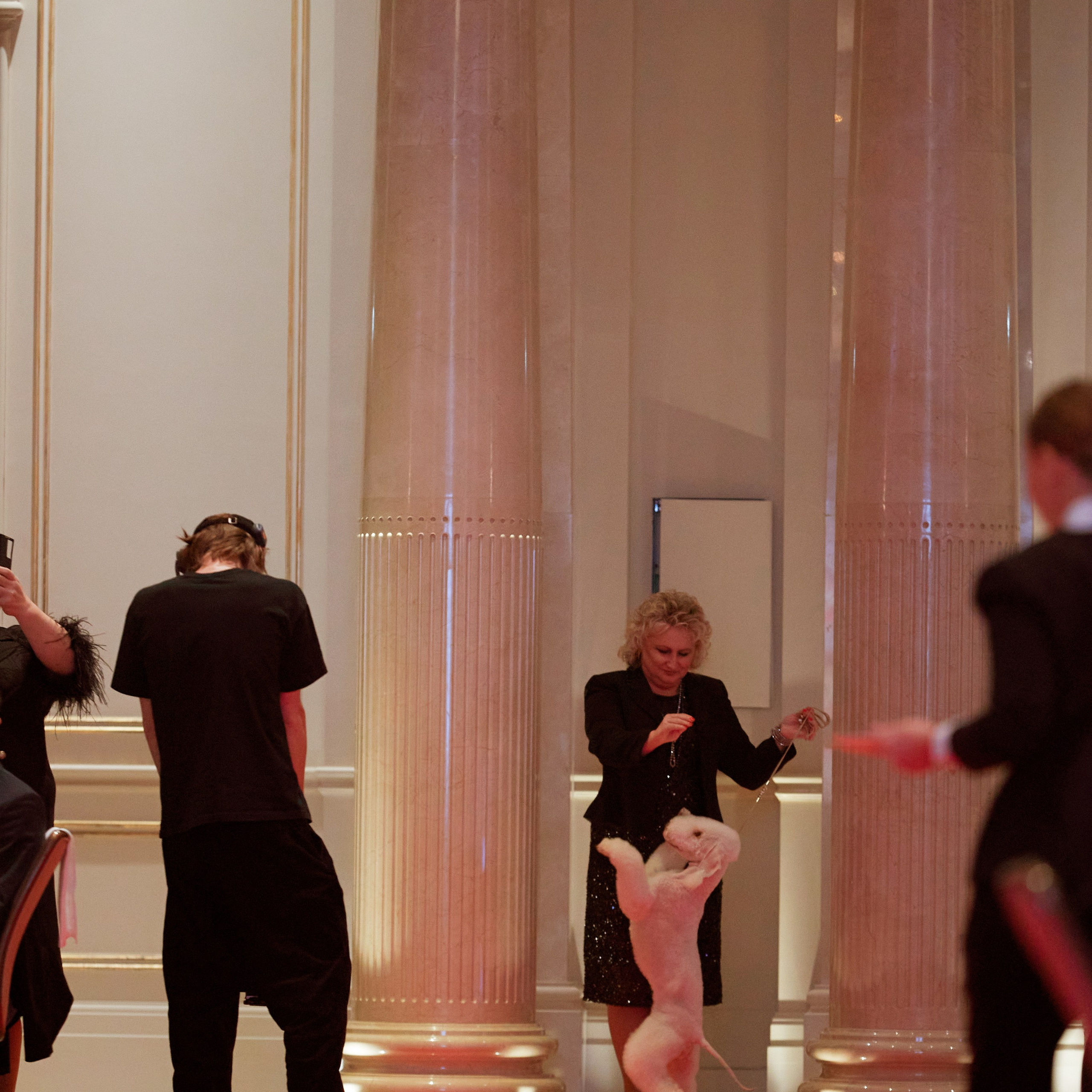 Репортаж с церемонии «BEST RUSSIAN DOG 2024». ФОТОГРАФ-АНИМАЛИСТ l LANA POLYAKOVA