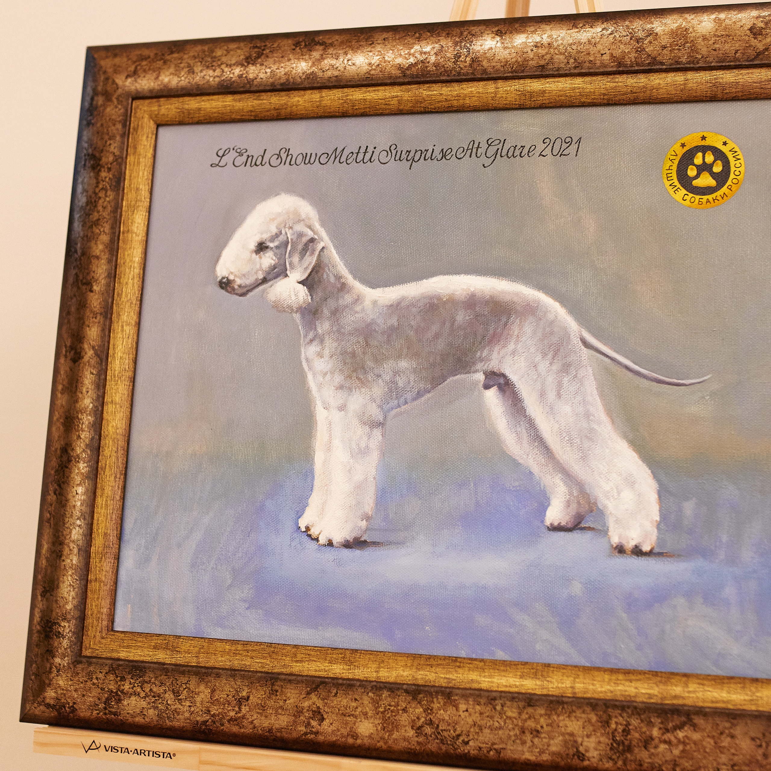 Репортаж с церемонии «BEST RUSSIAN DOG 2021». ФОТОГРАФ-АНИМАЛИСТ l LANA POLYAKOVA