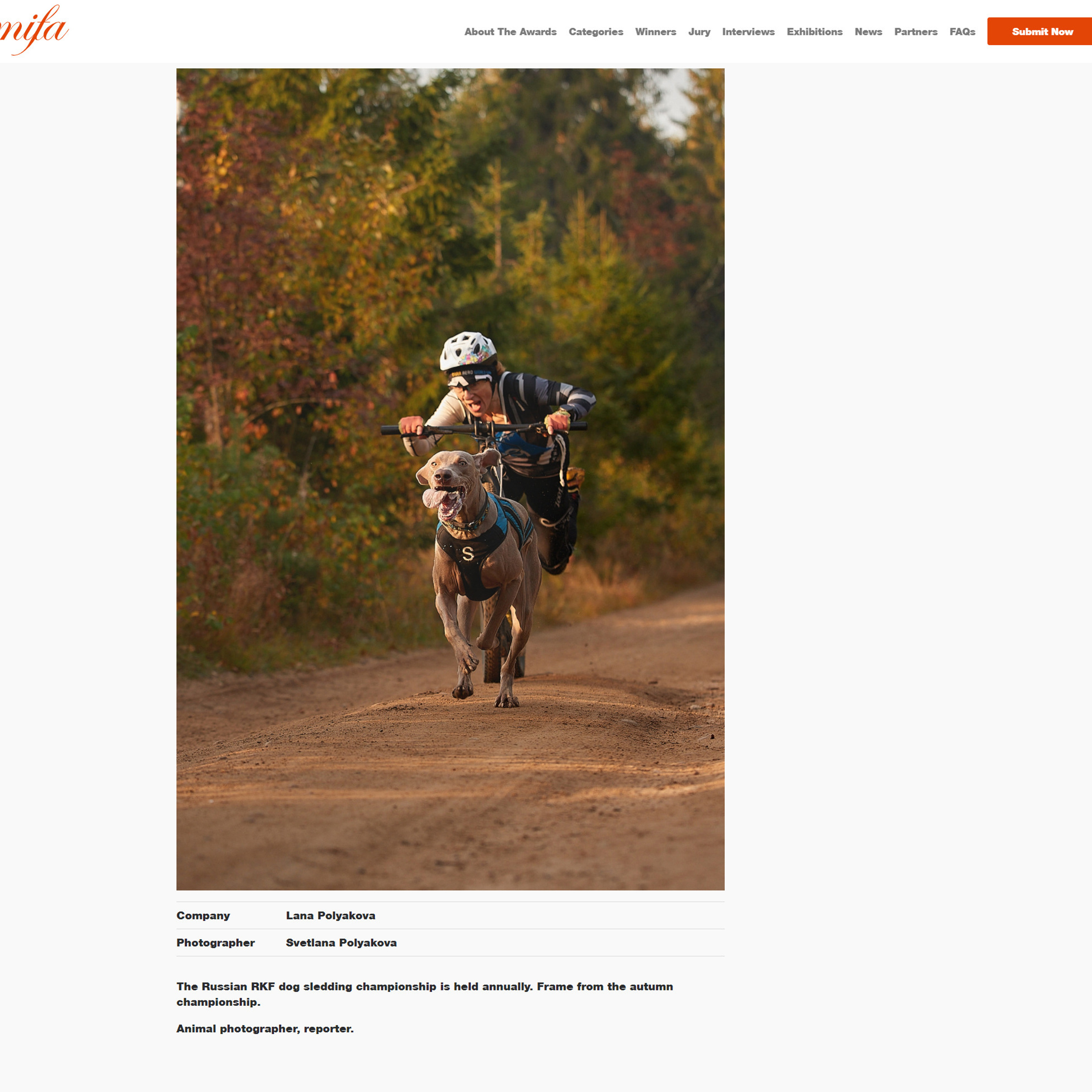 MIFA 2021 Winners. ФОТОГРАФ-АНИМАЛИСТ l LANA POLYAKOVA