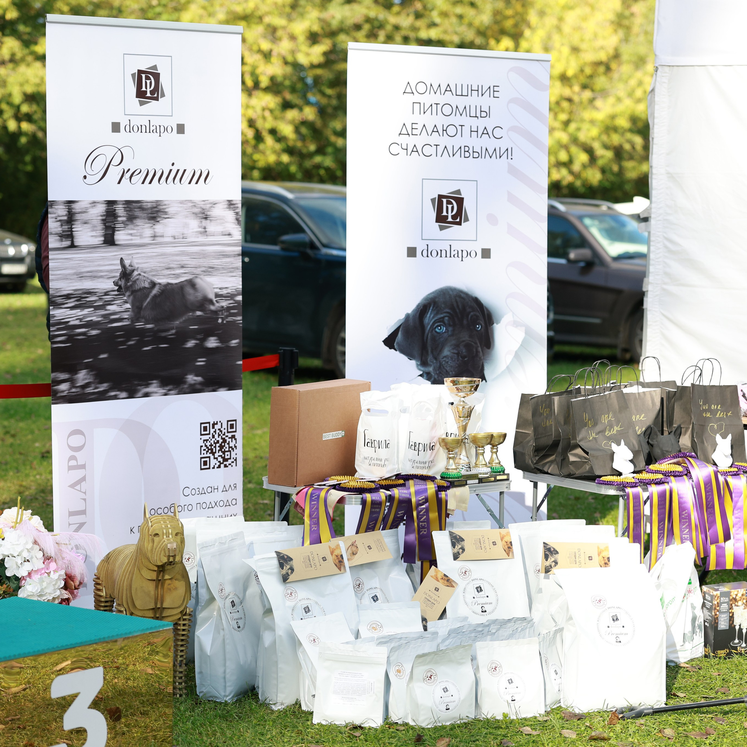 27-28.09.2025 ВЫСТАВКИ СОБАК ВСЕХ ПОРОД (САС, ЧРКФ, ЧФ). ФОТОГРАФ-АНИМАЛИСТ l LANA POLYAKOVA