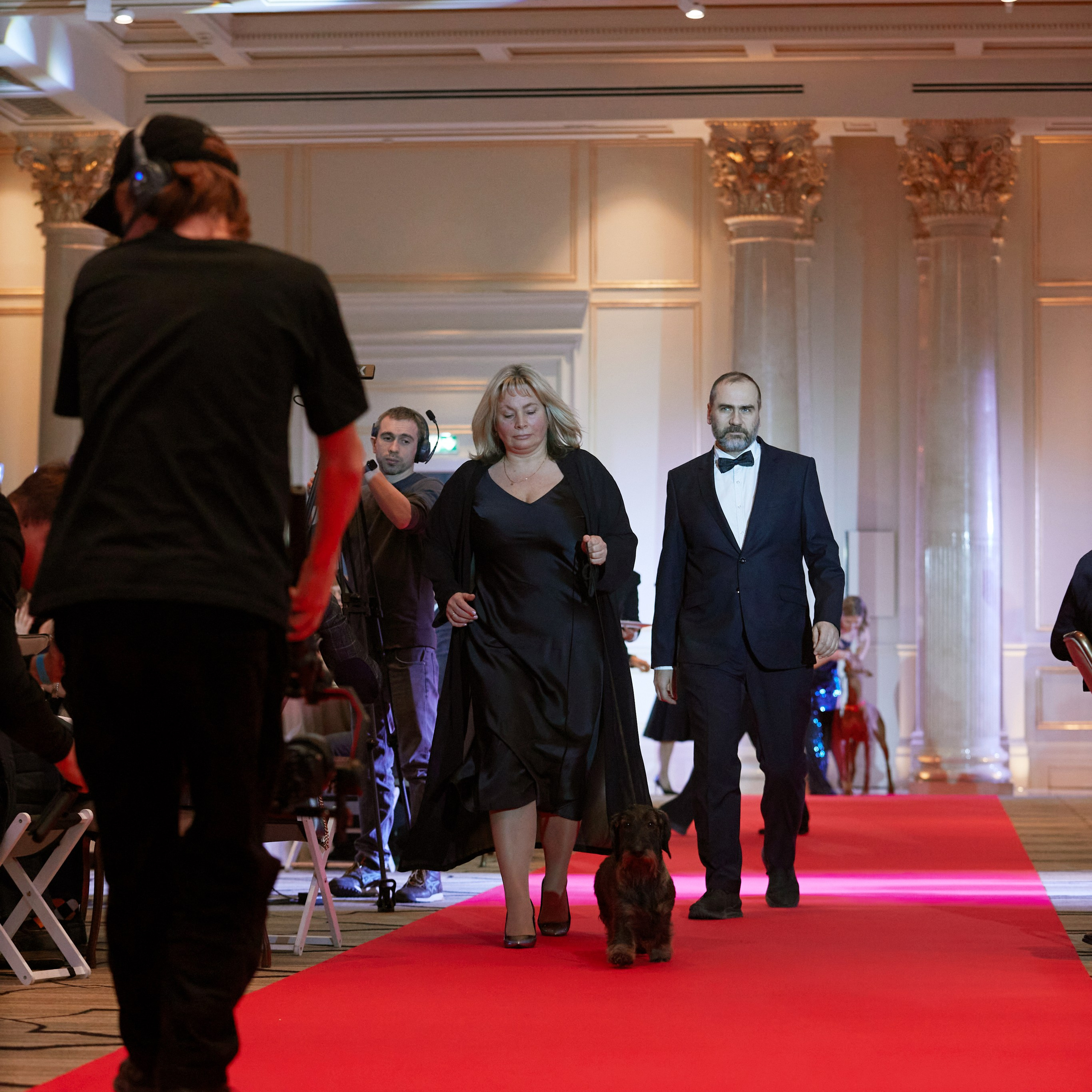 Репортаж с церемонии «BEST RUSSIAN DOG 2024». ФОТОГРАФ-АНИМАЛИСТ l LANA POLYAKOVA