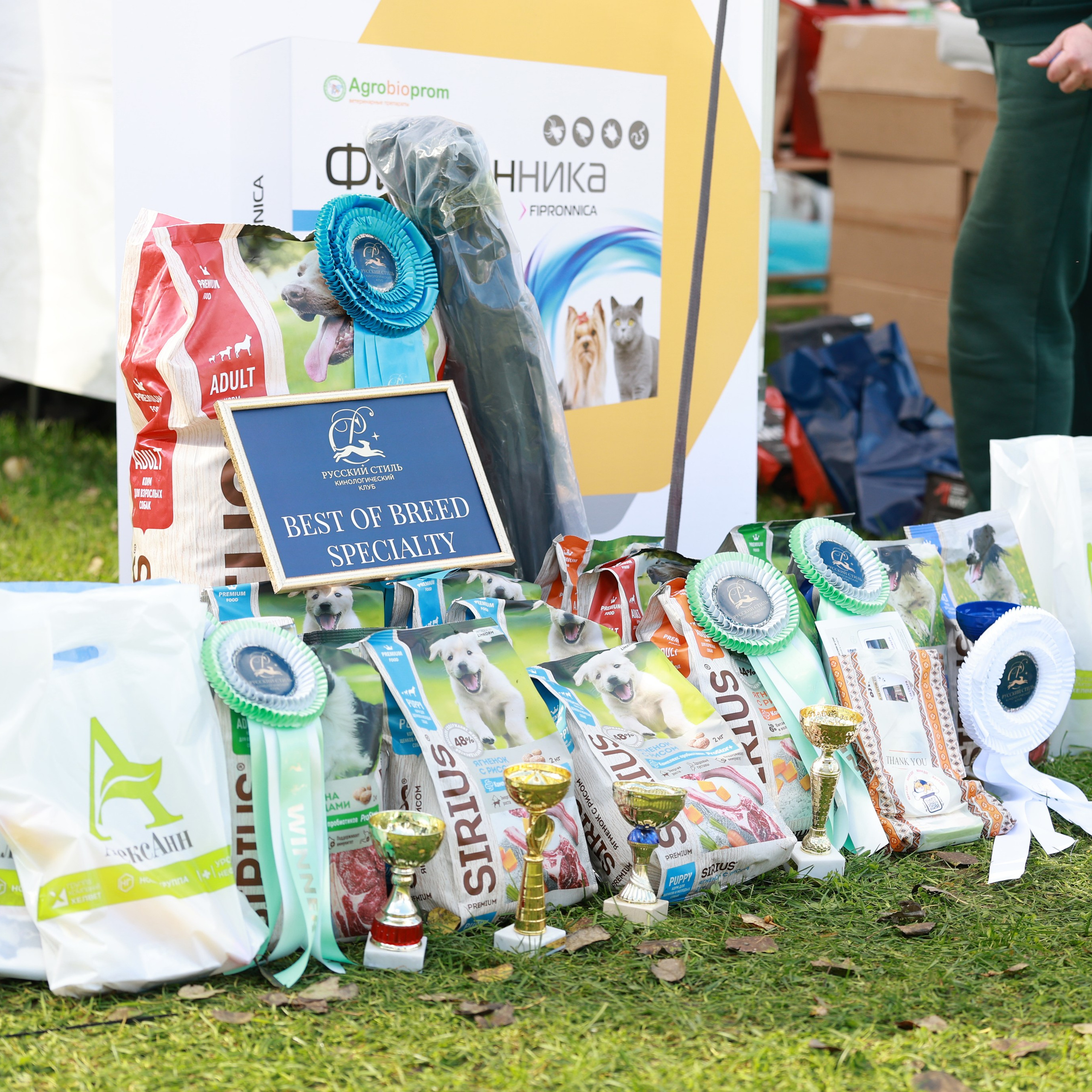 27-28.09.2025 ВЫСТАВКИ СОБАК ВСЕХ ПОРОД (САС, ЧРКФ, ЧФ). ФОТОГРАФ-АНИМАЛИСТ l LANA POLYAKOVA