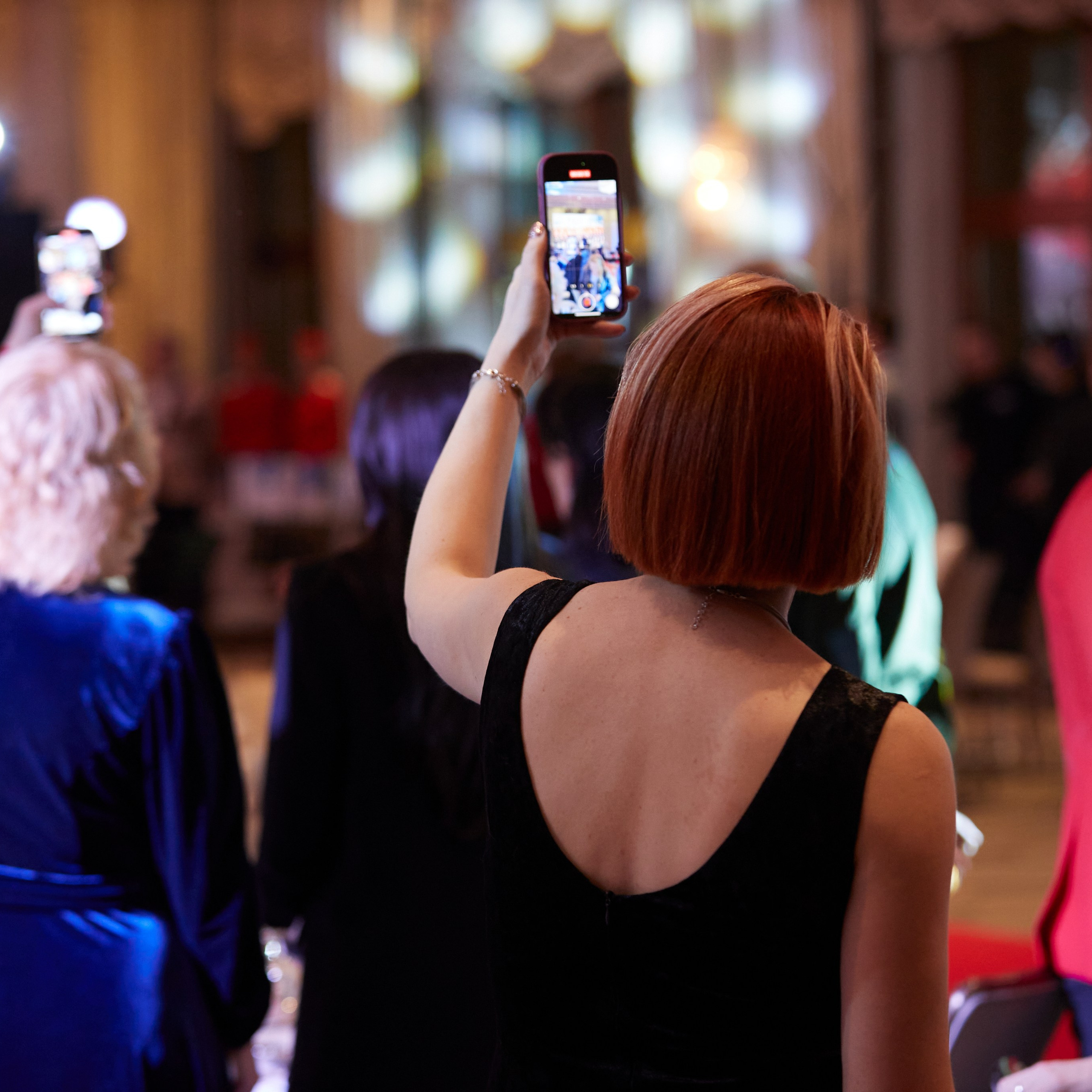 Репортаж с церемонии «BEST RUSSIAN DOG 2024». ФОТОГРАФ-АНИМАЛИСТ l LANA POLYAKOVA