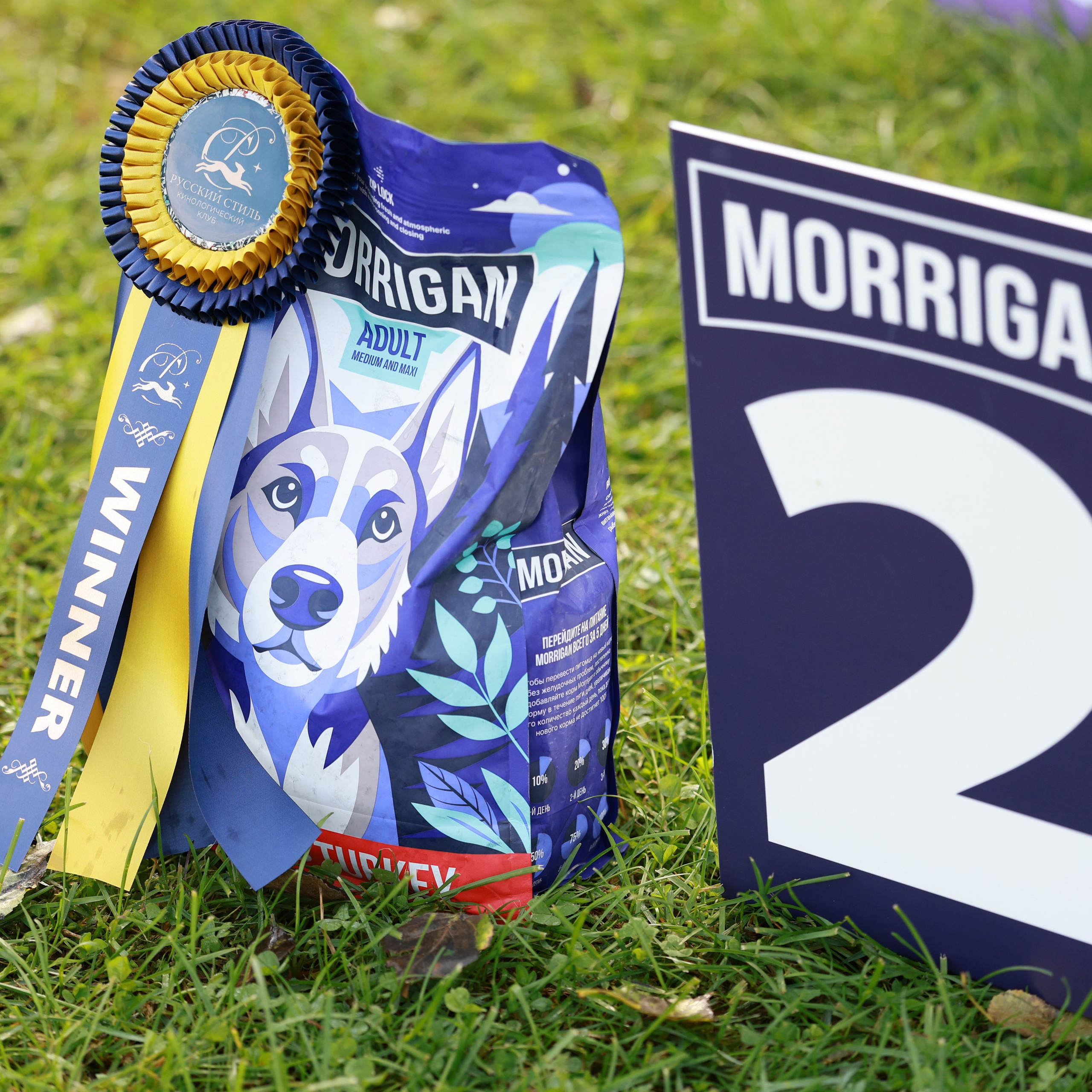 27-28.09.2025 ВЫСТАВКИ СОБАК ВСЕХ ПОРОД (САС, ЧРКФ, ЧФ). ФОТОГРАФ-АНИМАЛИСТ l LANA POLYAKOVA