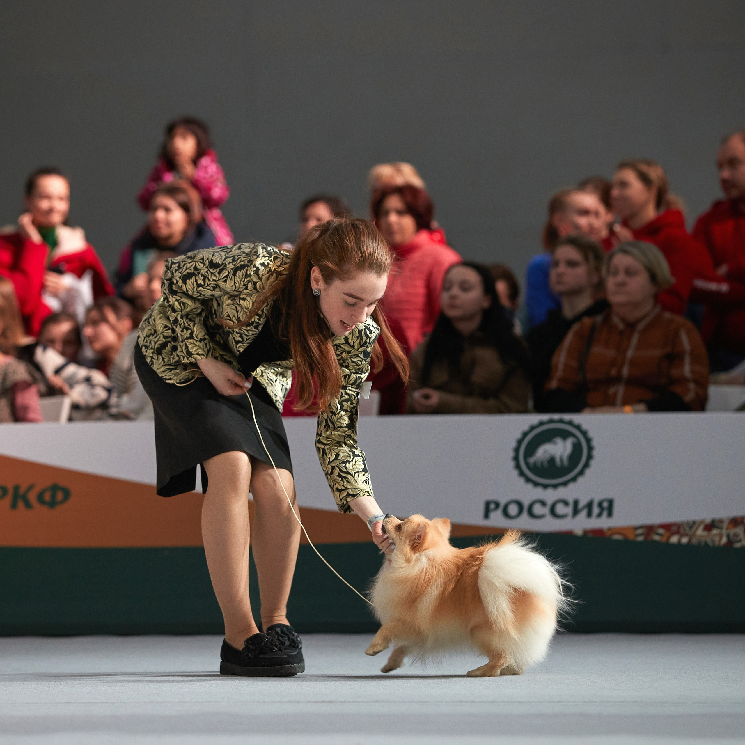 «Россия» в Крокусе. ФОТОГРАФ-АНИМАЛИСТ l LANA POLYAKOVA