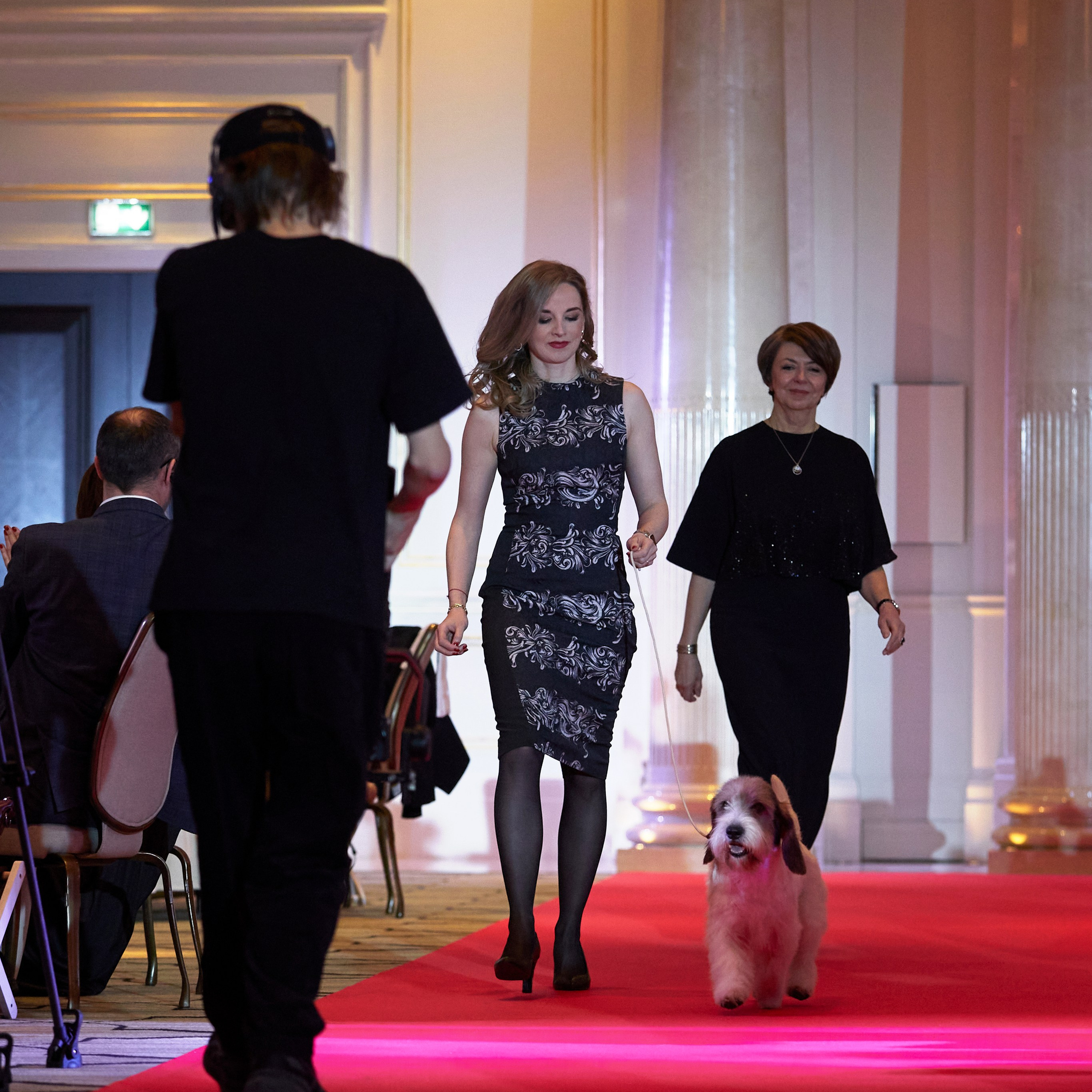 Репортаж с церемонии «BEST RUSSIAN DOG 2024». ФОТОГРАФ-АНИМАЛИСТ l LANA POLYAKOVA