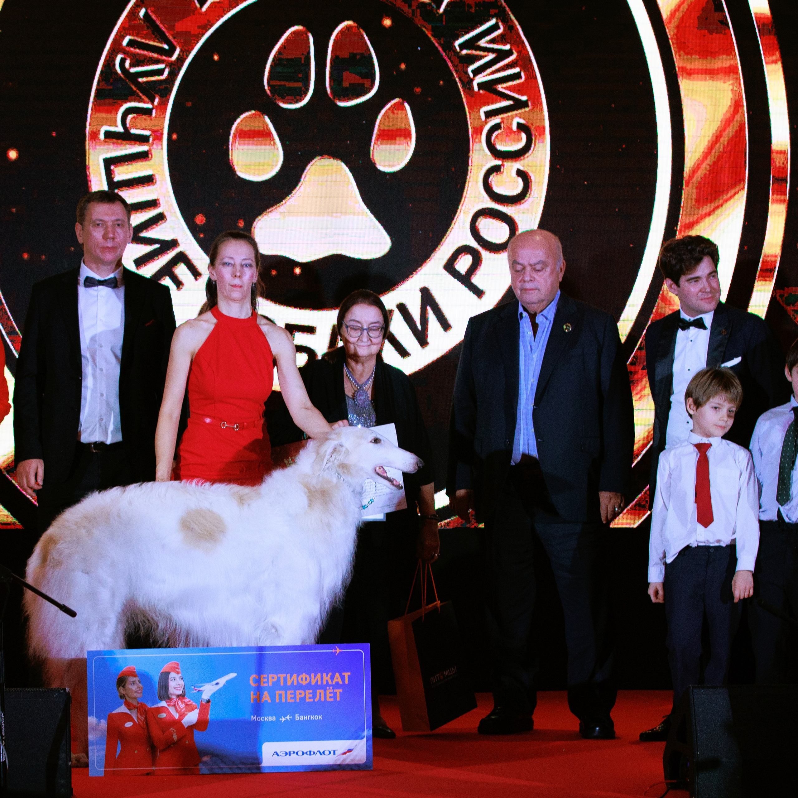 Репортаж с церемонии «BEST RUSSIAN DOG 2024». ФОТОГРАФ-АНИМАЛИСТ l LANA POLYAKOVA