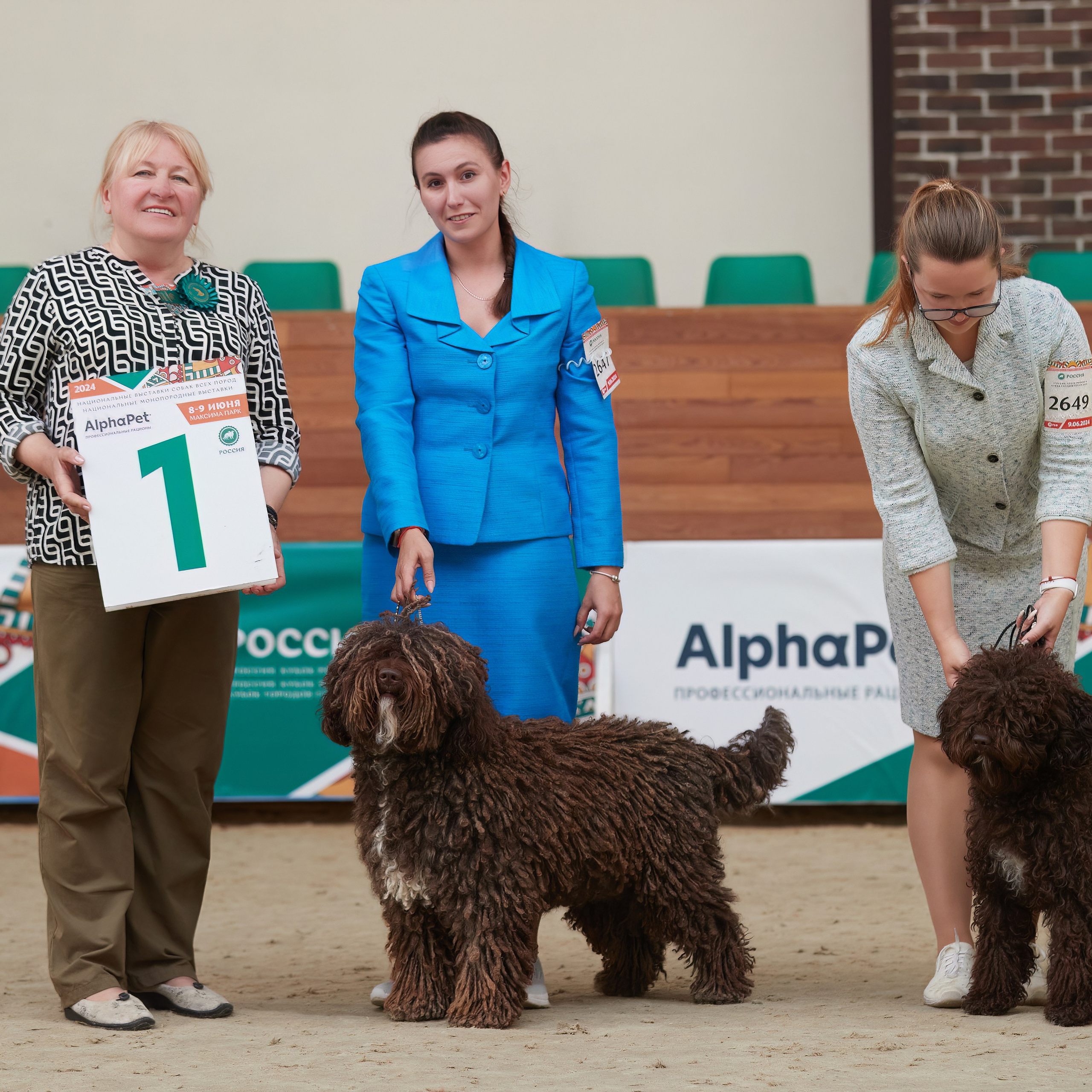 «Россия. Кубок РКФ 2024» и «Россия. Кубок Москвы 2024». ФОТОГРАФ-АНИМАЛИСТ l LANA POLYAKOVA