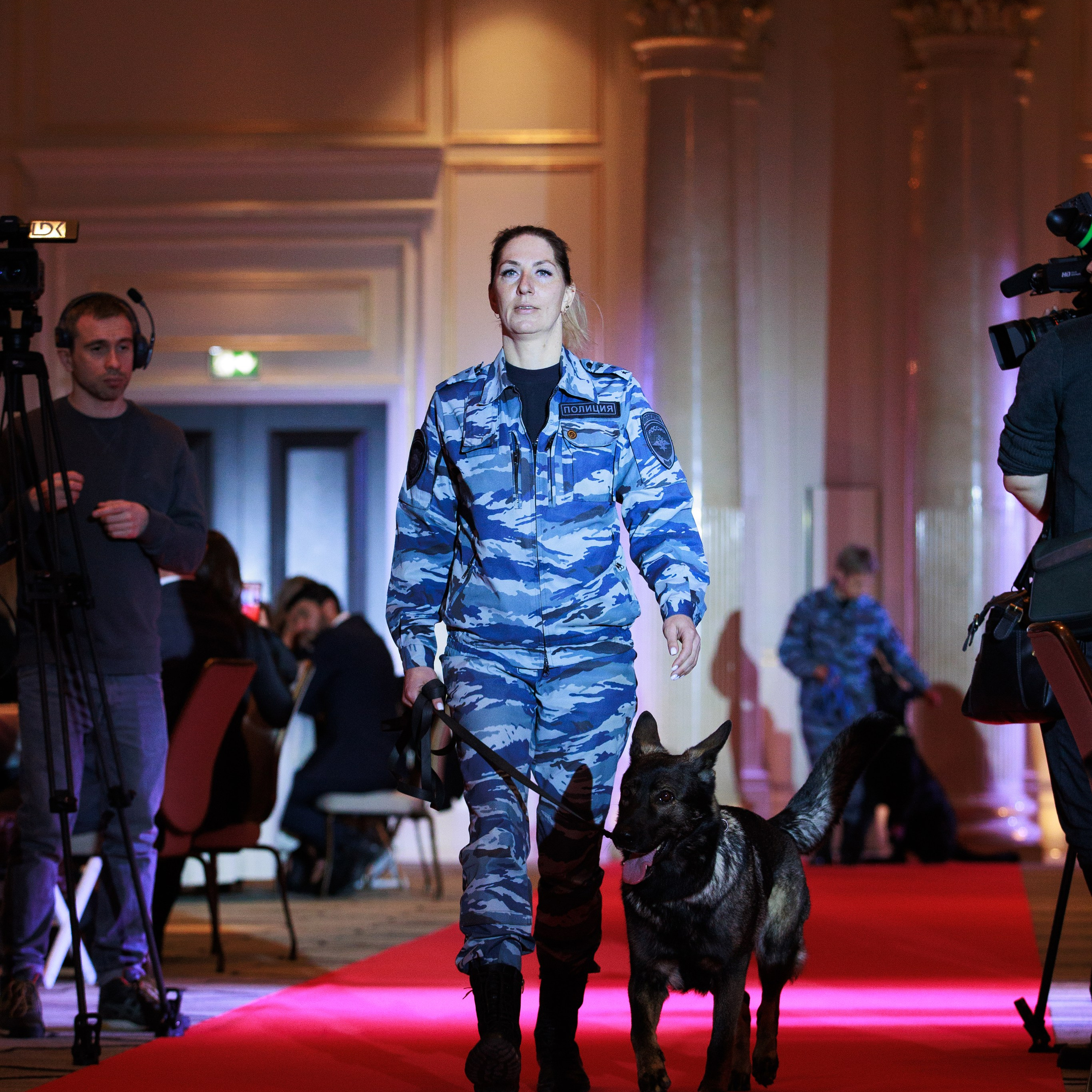 Репортаж с церемонии «BEST RUSSIAN DOG 2024». ФОТОГРАФ-АНИМАЛИСТ l LANA POLYAKOVA