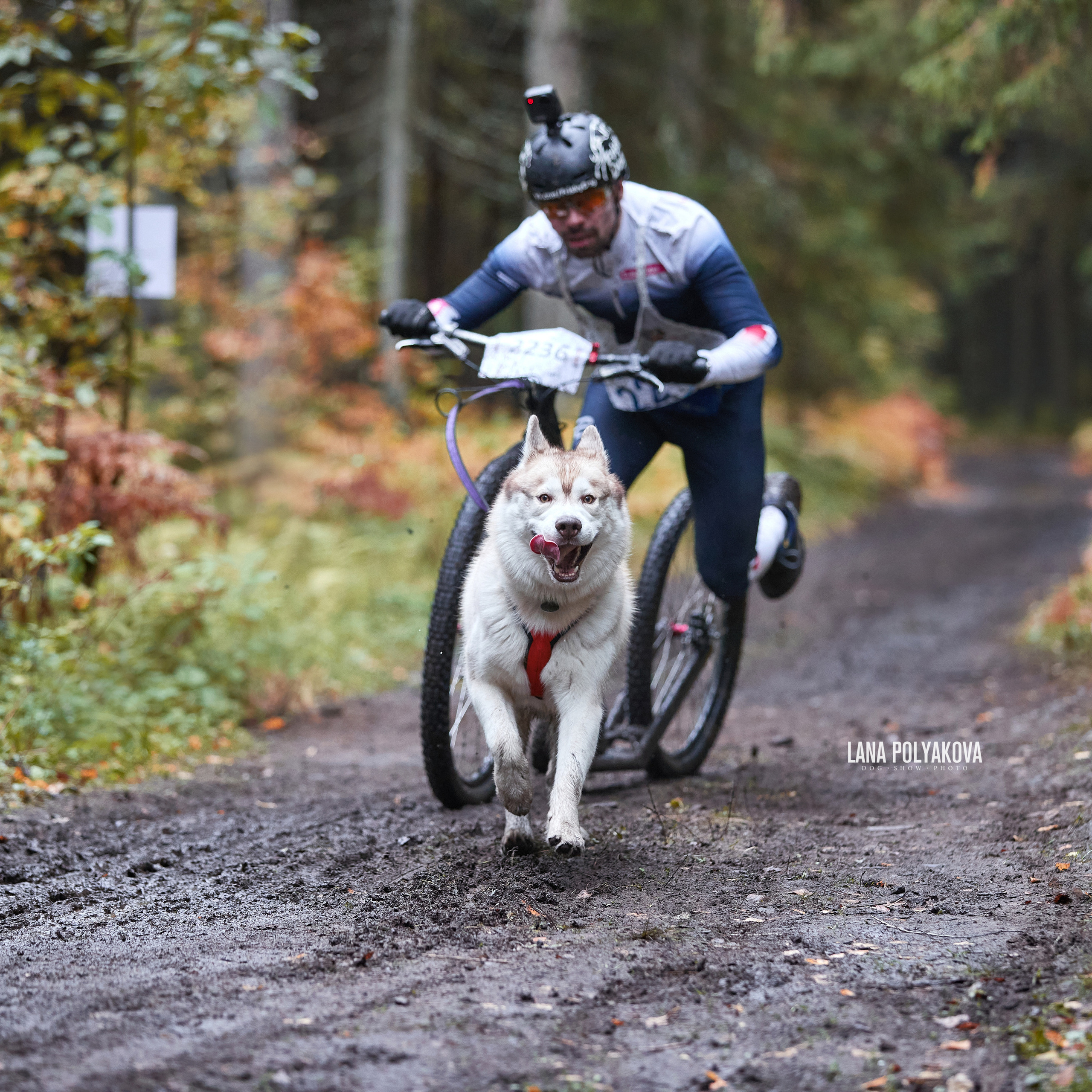 Чемпионат РКФ FCISDR 24-25.09.22. ФОТОГРАФ-АНИМАЛИСТ l LANA POLYAKOVA