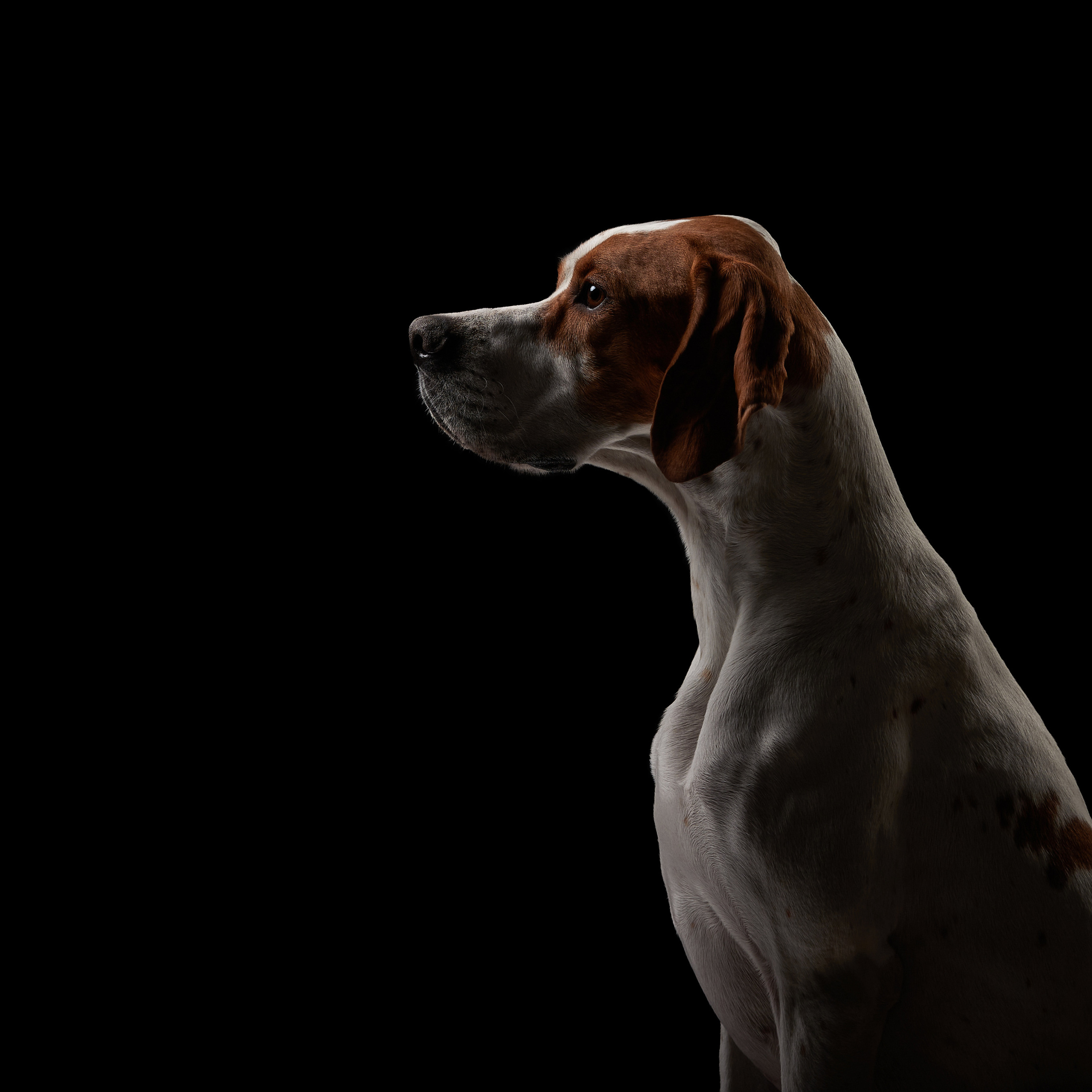 Зимний Workshop и фотосъемки на Байкале. ФОТОГРАФ-АНИМАЛИСТ l LANA POLYAKOVA