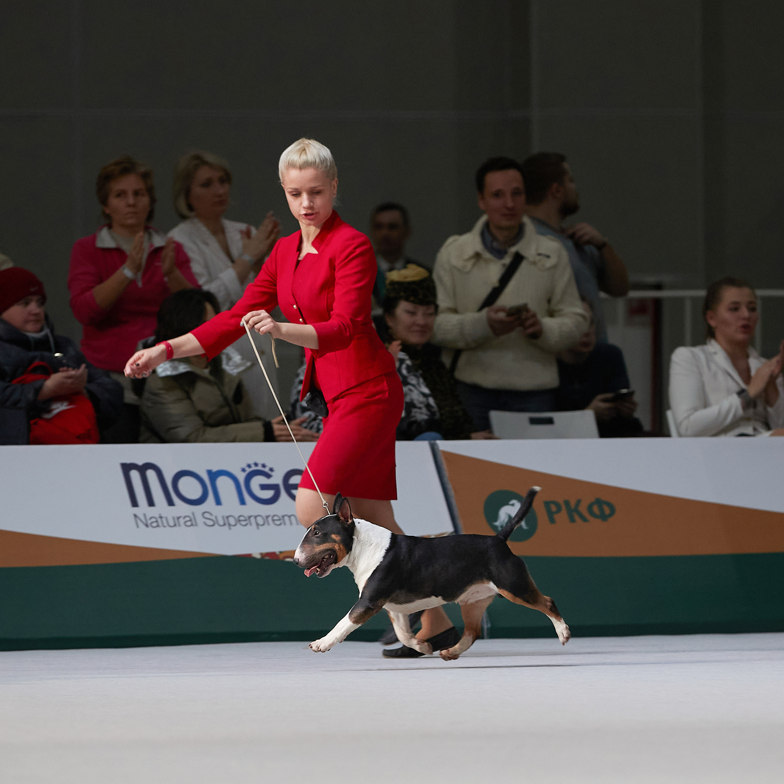 «Россия» в Крокусе. ФОТОГРАФ-АНИМАЛИСТ l LANA POLYAKOVA