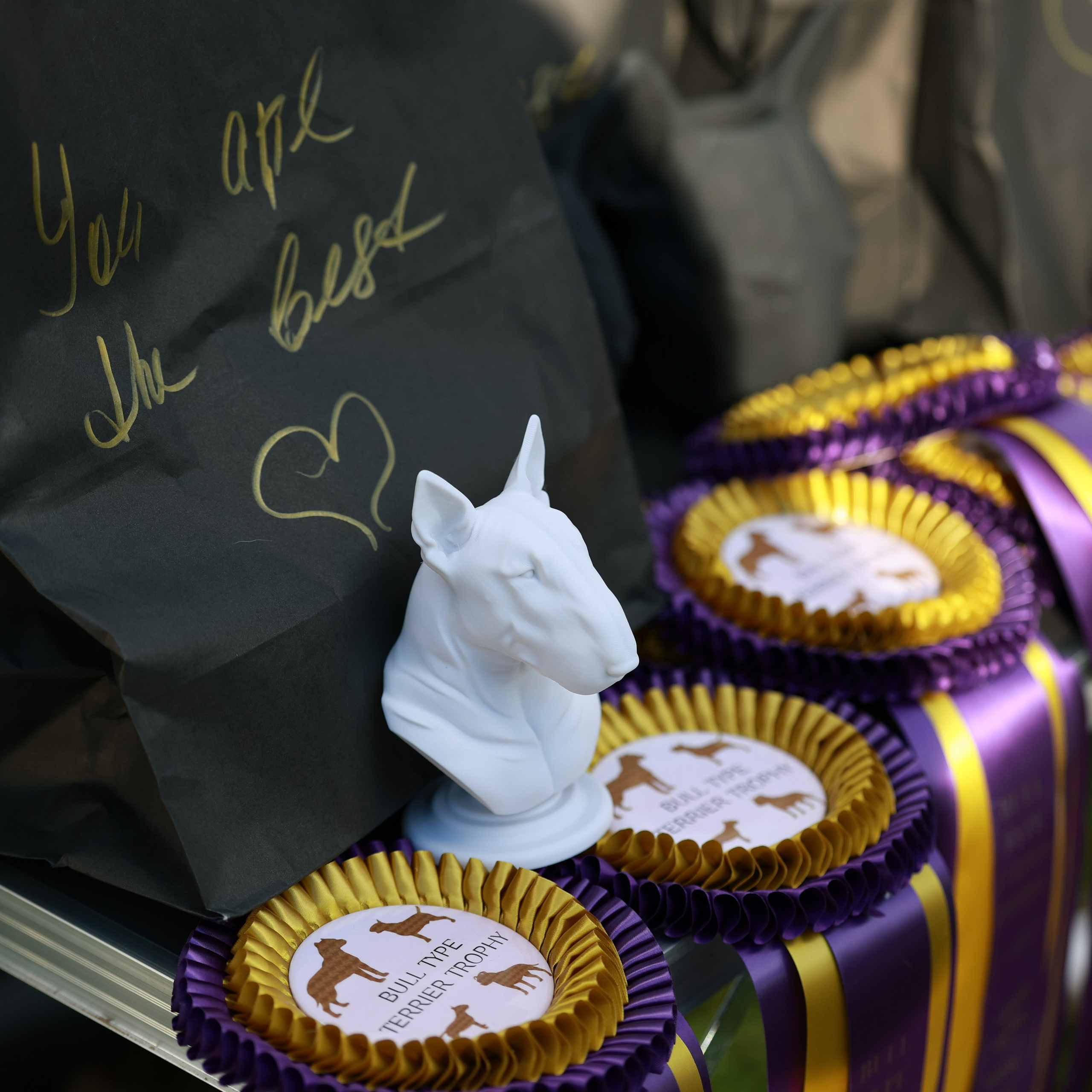 27-28.09.2025 ВЫСТАВКИ СОБАК ВСЕХ ПОРОД (САС, ЧРКФ, ЧФ). ФОТОГРАФ-АНИМАЛИСТ l LANA POLYAKOVA