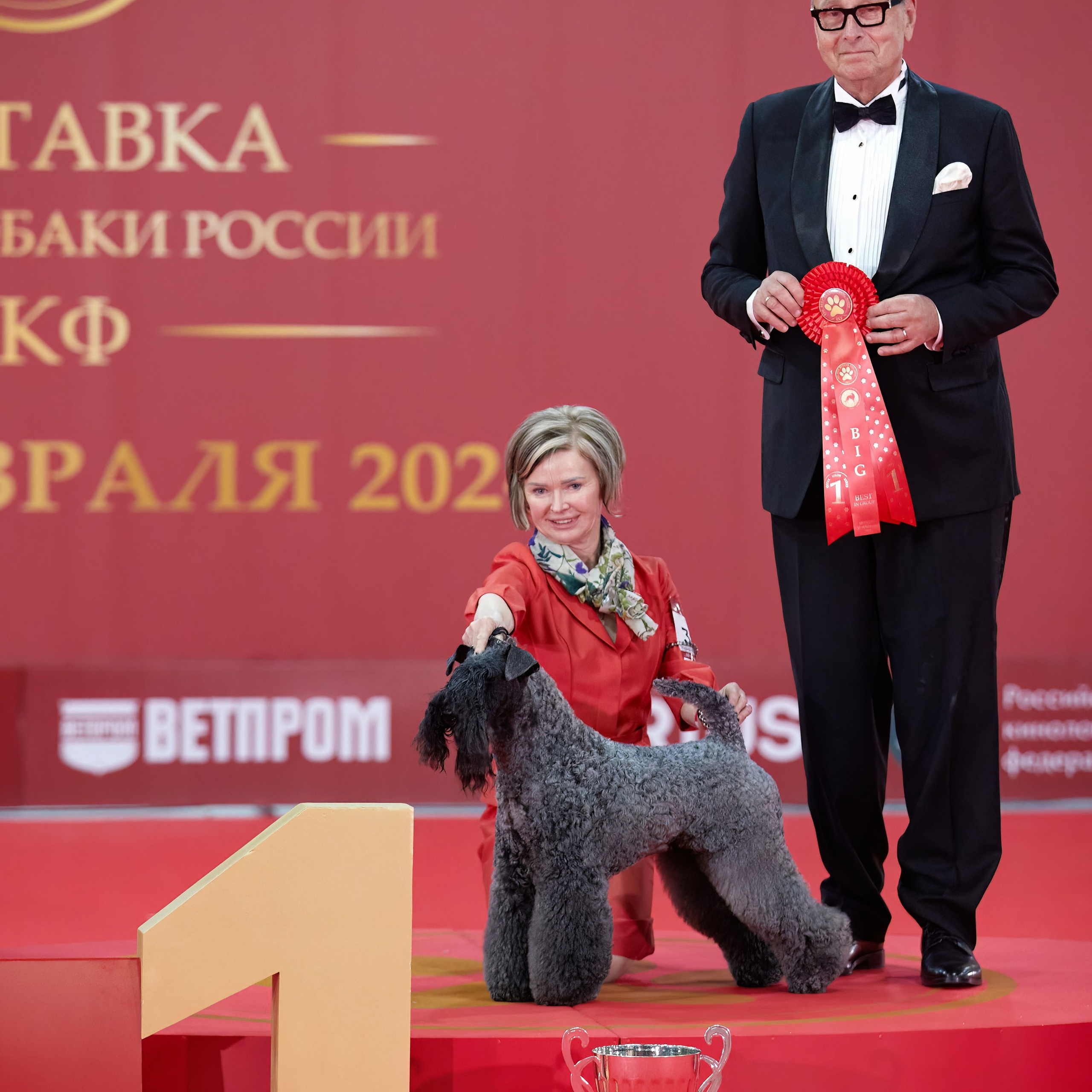 Новое шоу чемпионов «ЛУЧШИЕ СОБАКИ РОССИИ». ФОТОГРАФ-АНИМАЛИСТ l LANA POLYAKOVA