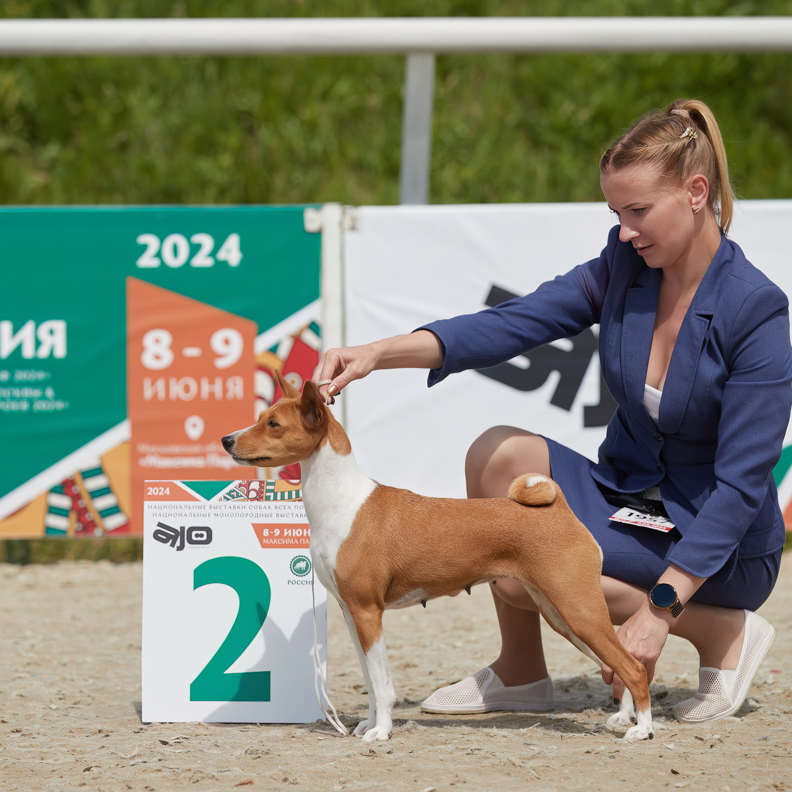 «Россия. Кубок РКФ 2024» и «Россия. Кубок Москвы 2024». ФОТОГРАФ-АНИМАЛИСТ l LANA POLYAKOVA