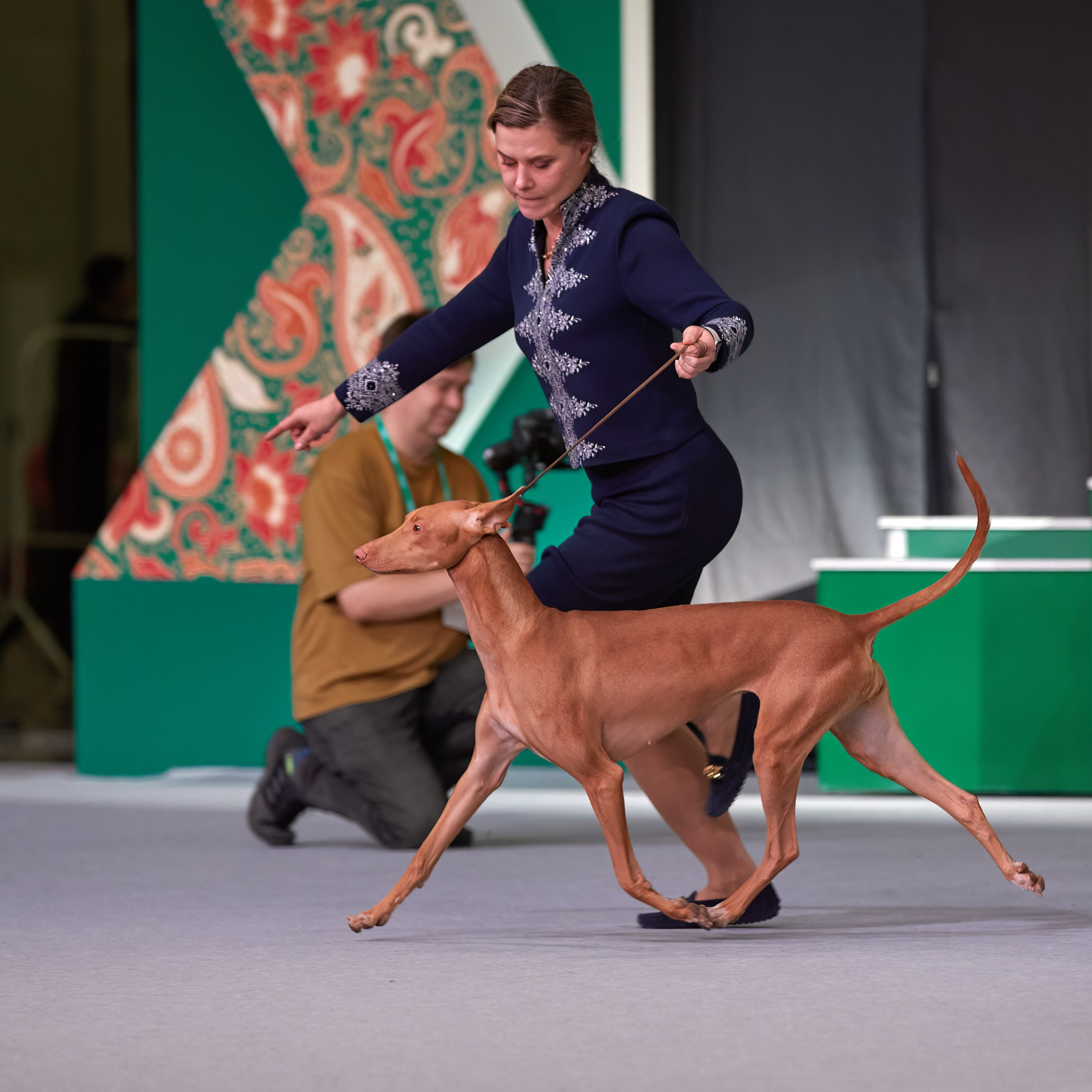 «ЕВРАЗИЯ — 2023» в Крокусе. ФОТОГРАФ-АНИМАЛИСТ l LANA POLYAKOVA