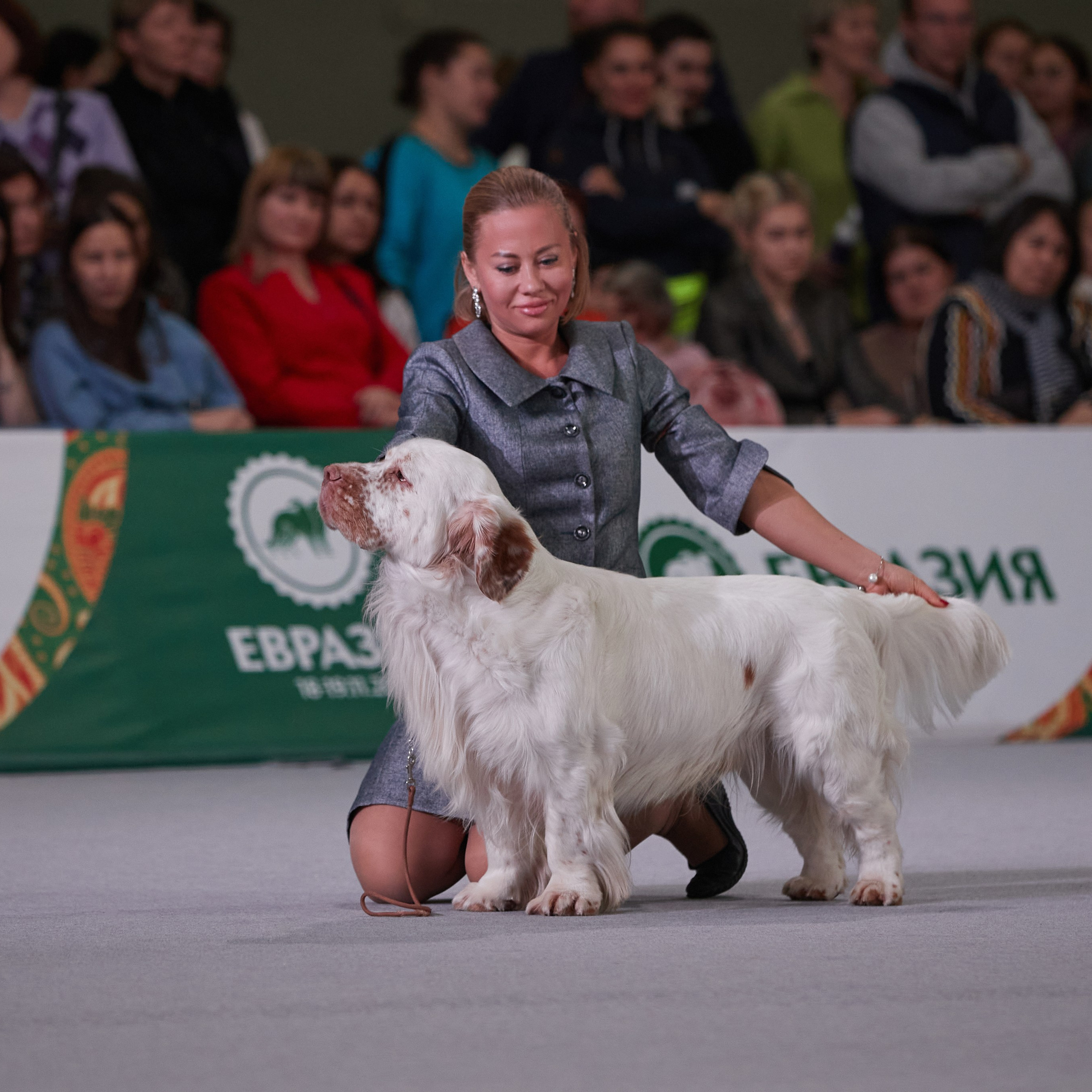 «ЕВРАЗИЯ — 2023» в Крокусе. ФОТОГРАФ-АНИМАЛИСТ l LANA POLYAKOVA