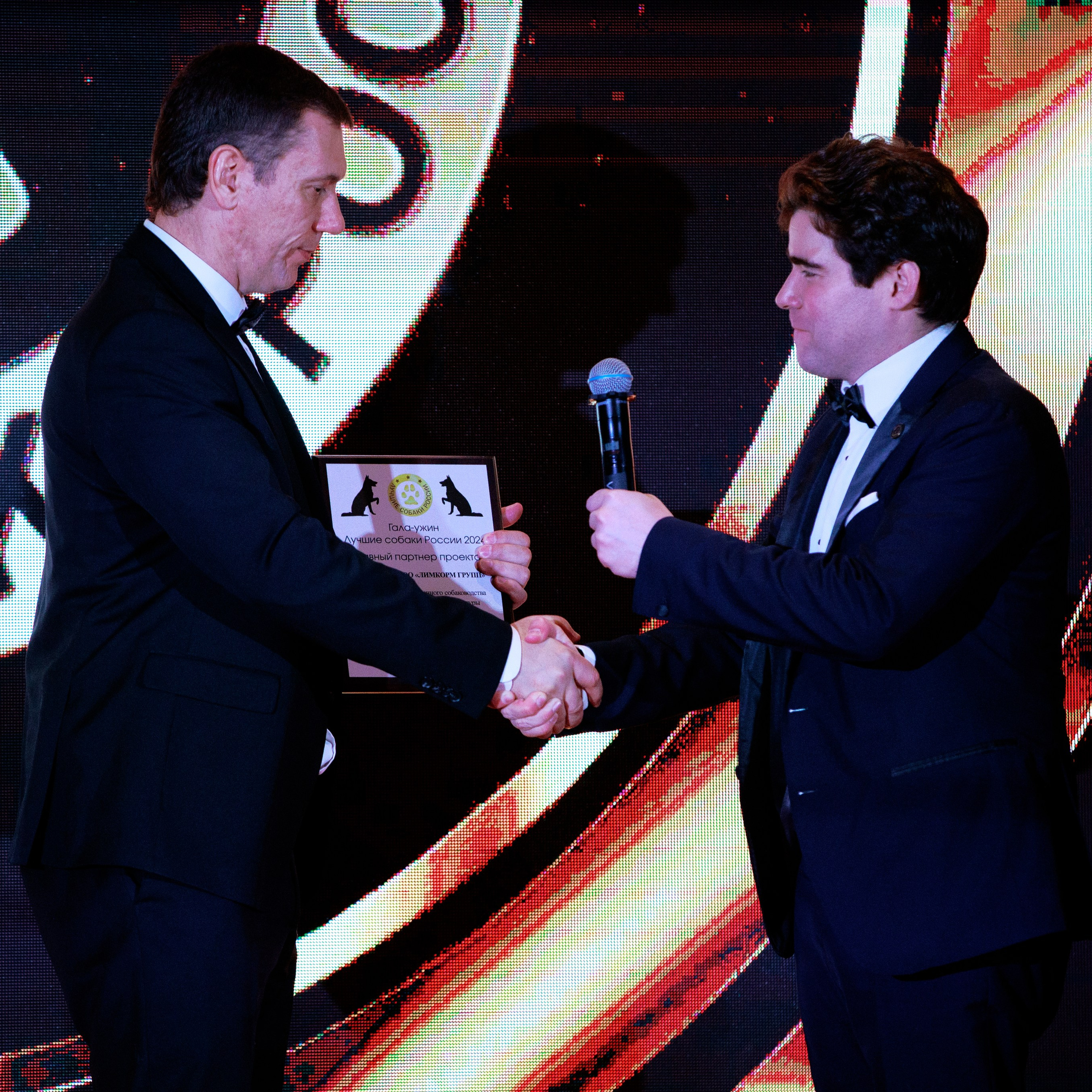 Репортаж с церемонии «BEST RUSSIAN DOG 2024». ФОТОГРАФ-АНИМАЛИСТ l LANA POLYAKOVA