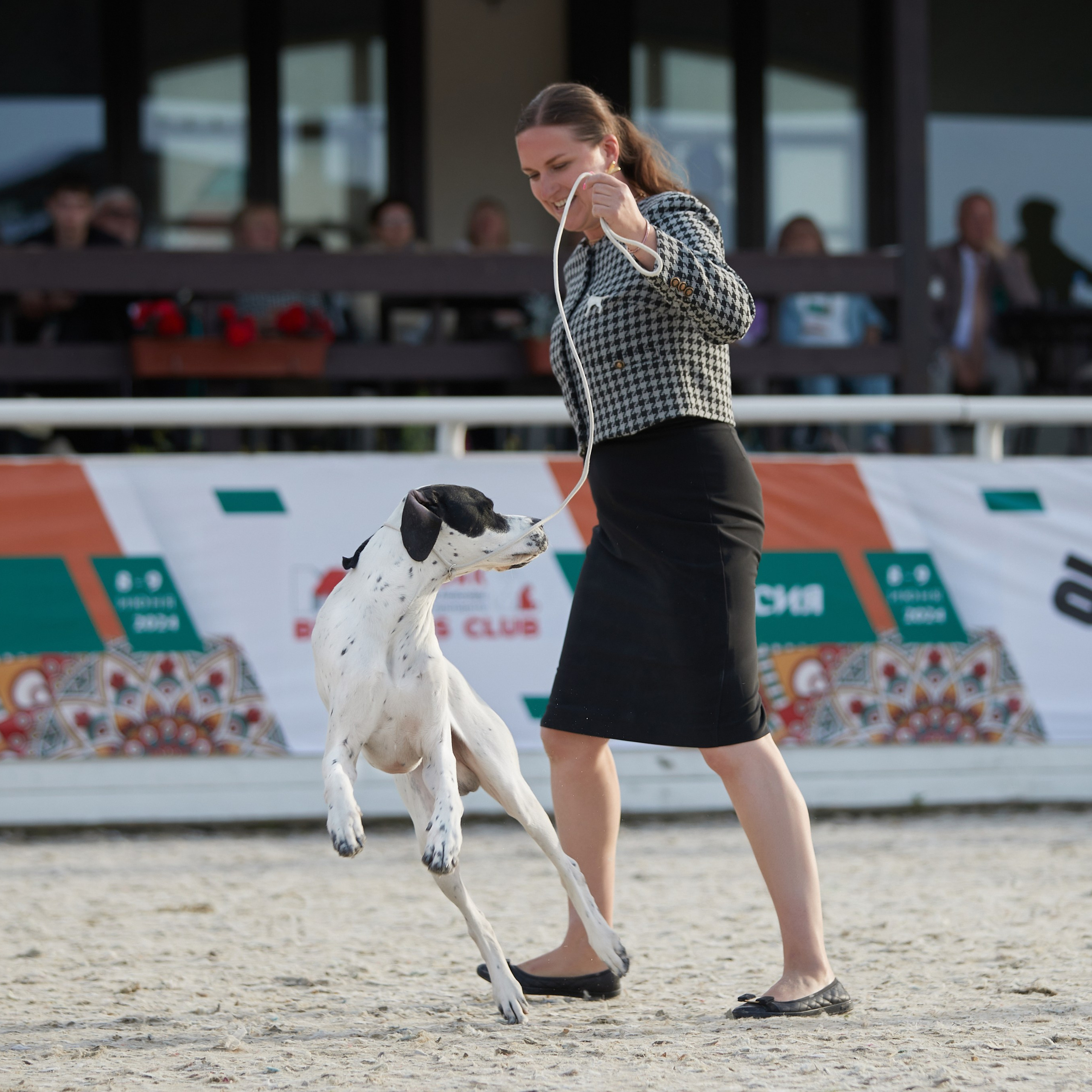 «Россия. Кубок РКФ 2024» и «Россия. Кубок Москвы 2024». ФОТОГРАФ-АНИМАЛИСТ l LANA POLYAKOVA