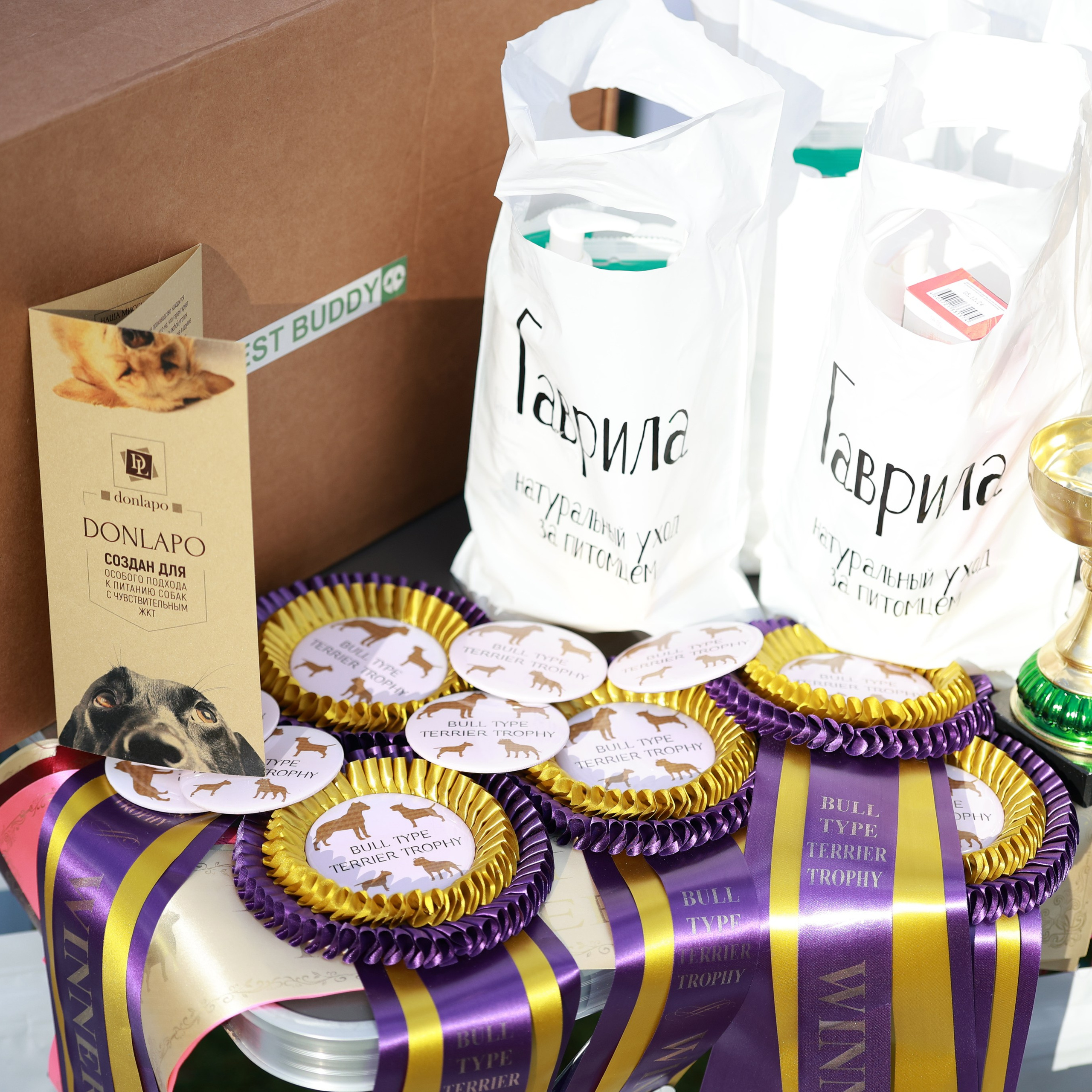 27-28.09.2025 ВЫСТАВКИ СОБАК ВСЕХ ПОРОД (САС, ЧРКФ, ЧФ). ФОТОГРАФ-АНИМАЛИСТ l LANA POLYAKOVA