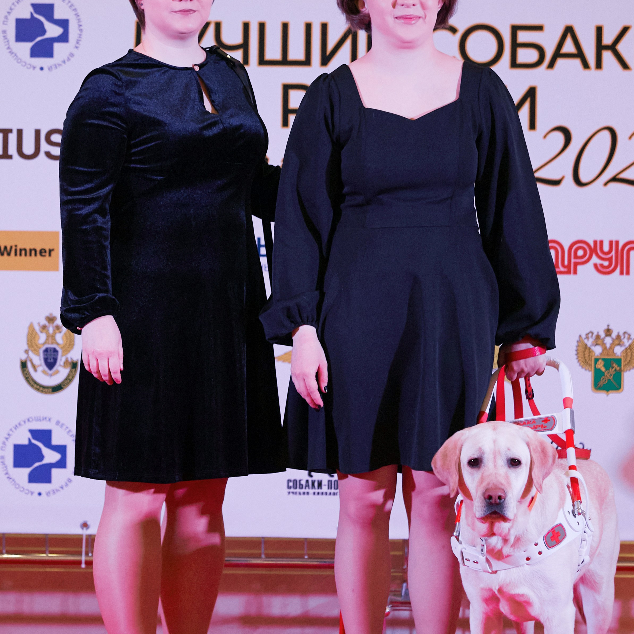 Репортаж с церемонии «BEST RUSSIAN DOG 2024». ФОТОГРАФ-АНИМАЛИСТ l LANA POLYAKOVA