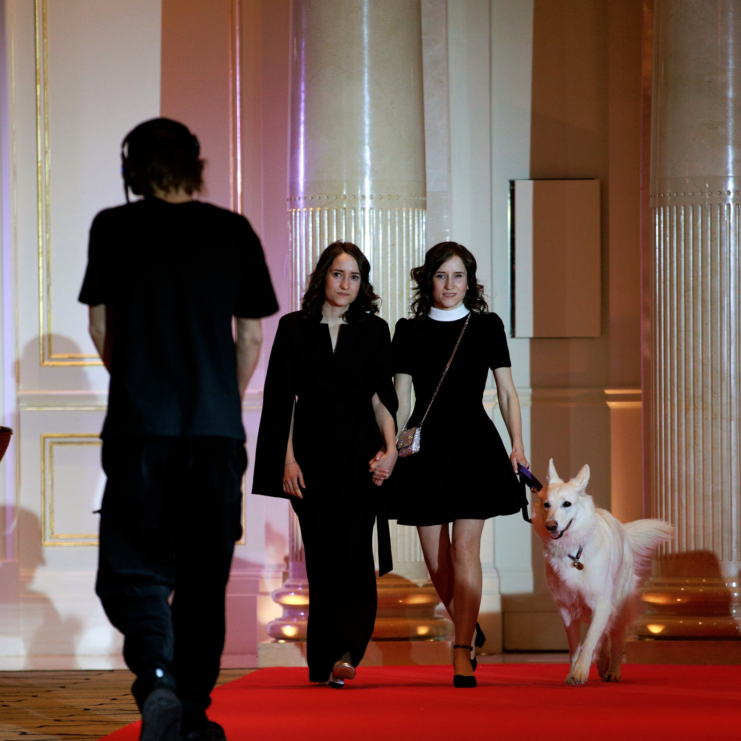 Репортаж с церемонии «BEST RUSSIAN DOG 2024». ФОТОГРАФ-АНИМАЛИСТ l LANA POLYAKOVA