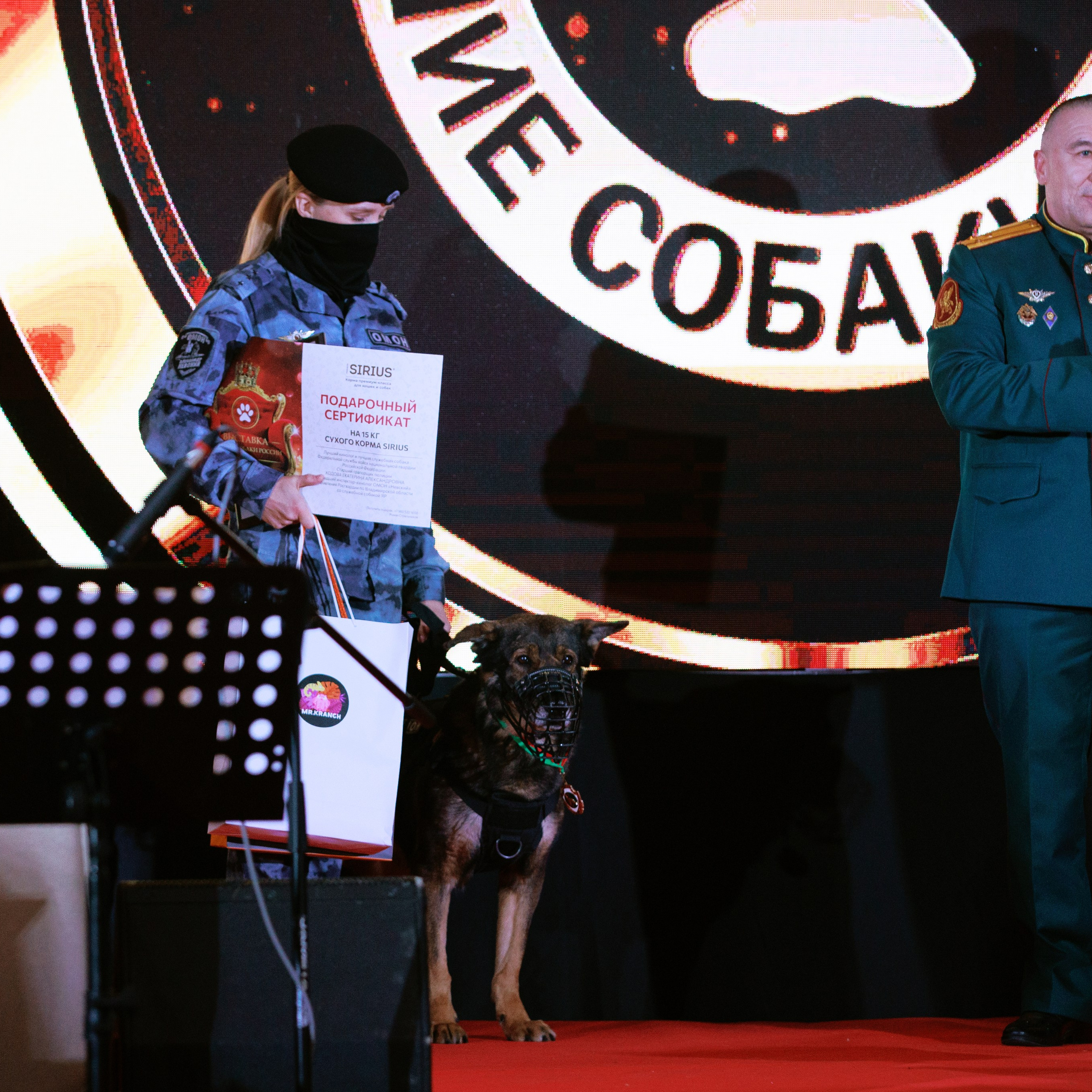 Репортаж с церемонии «BEST RUSSIAN DOG 2024». ФОТОГРАФ-АНИМАЛИСТ l LANA POLYAKOVA