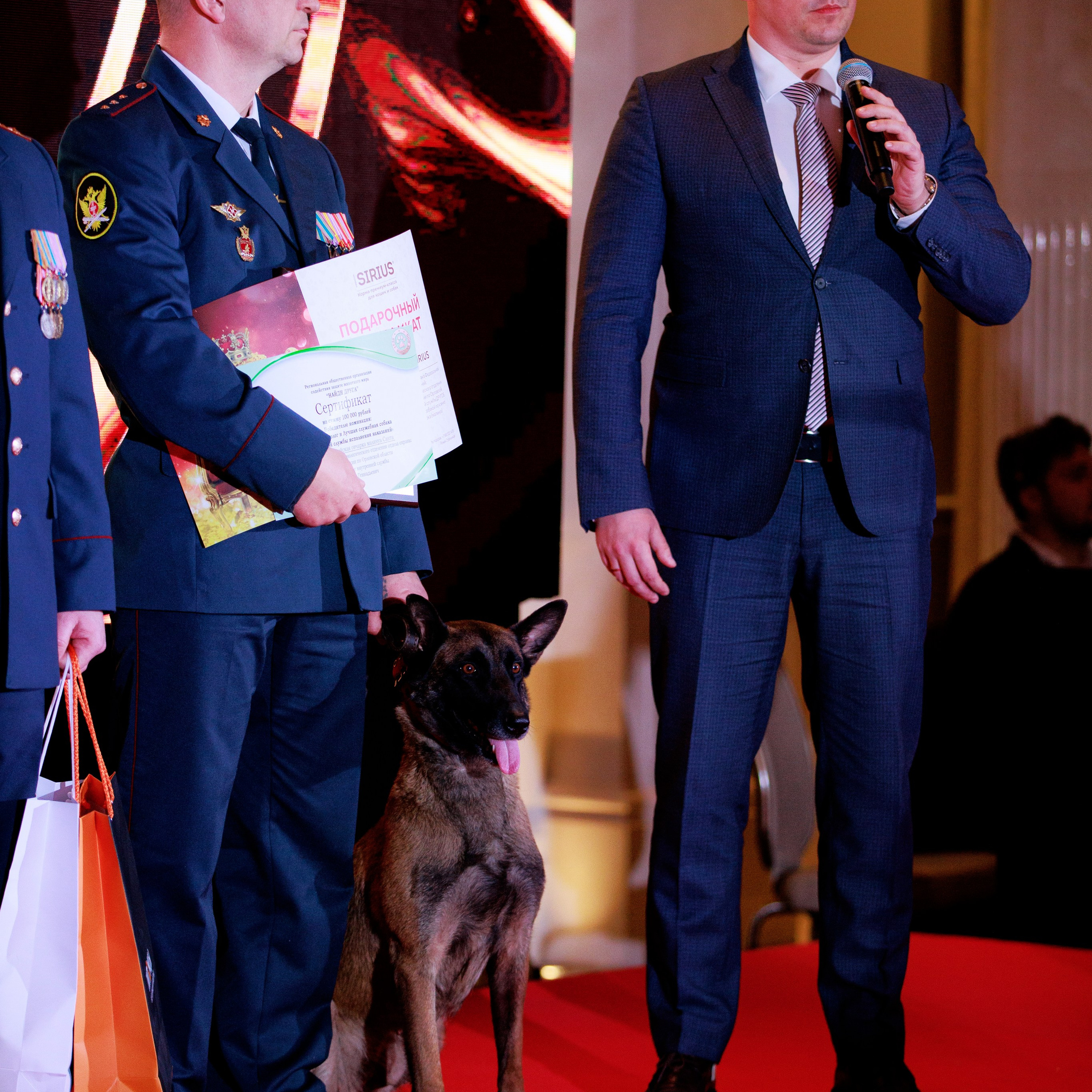 Репортаж с церемонии «BEST RUSSIAN DOG 2024». ФОТОГРАФ-АНИМАЛИСТ l LANA POLYAKOVA