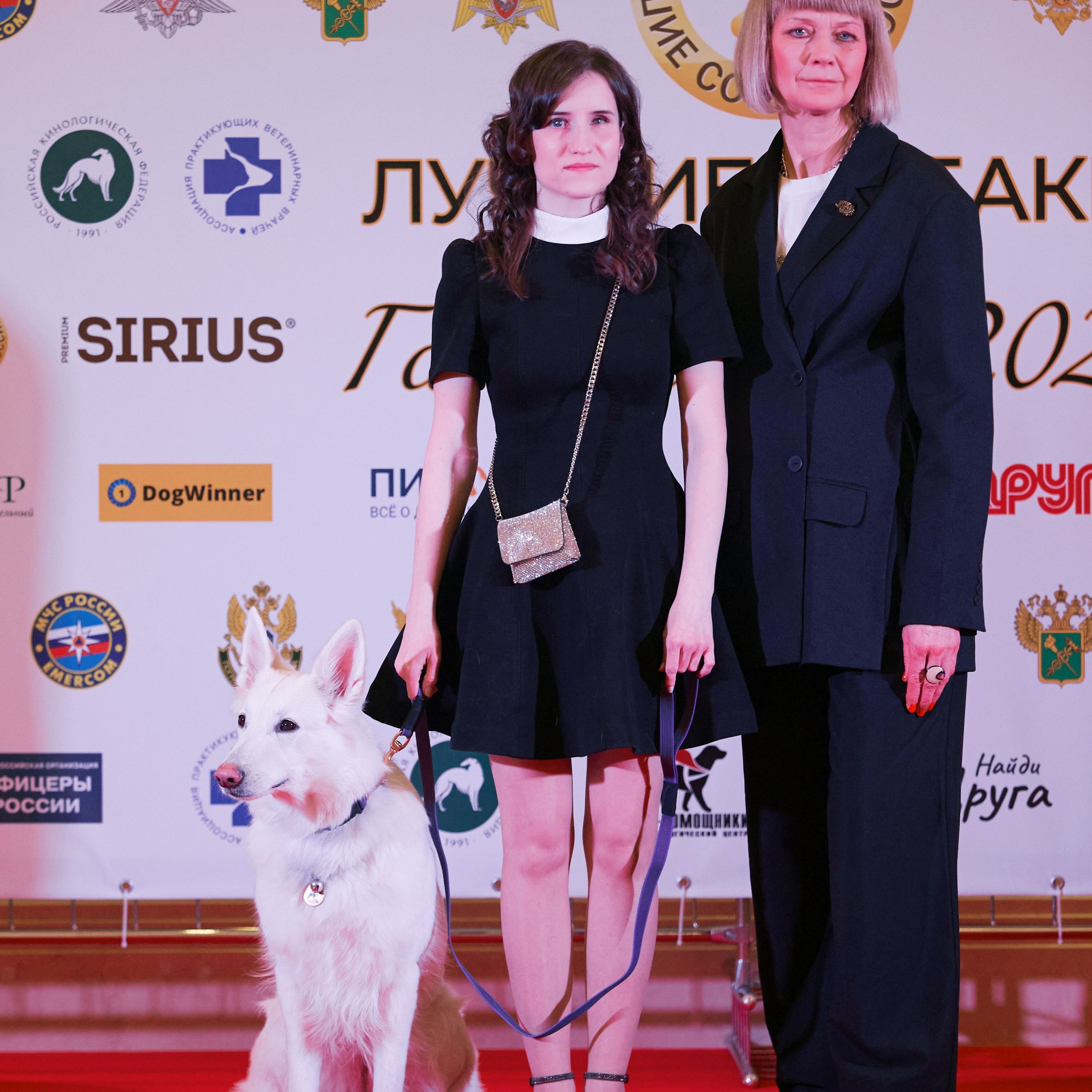 Репортаж с церемонии «BEST RUSSIAN DOG 2024». ФОТОГРАФ-АНИМАЛИСТ l LANA POLYAKOVA