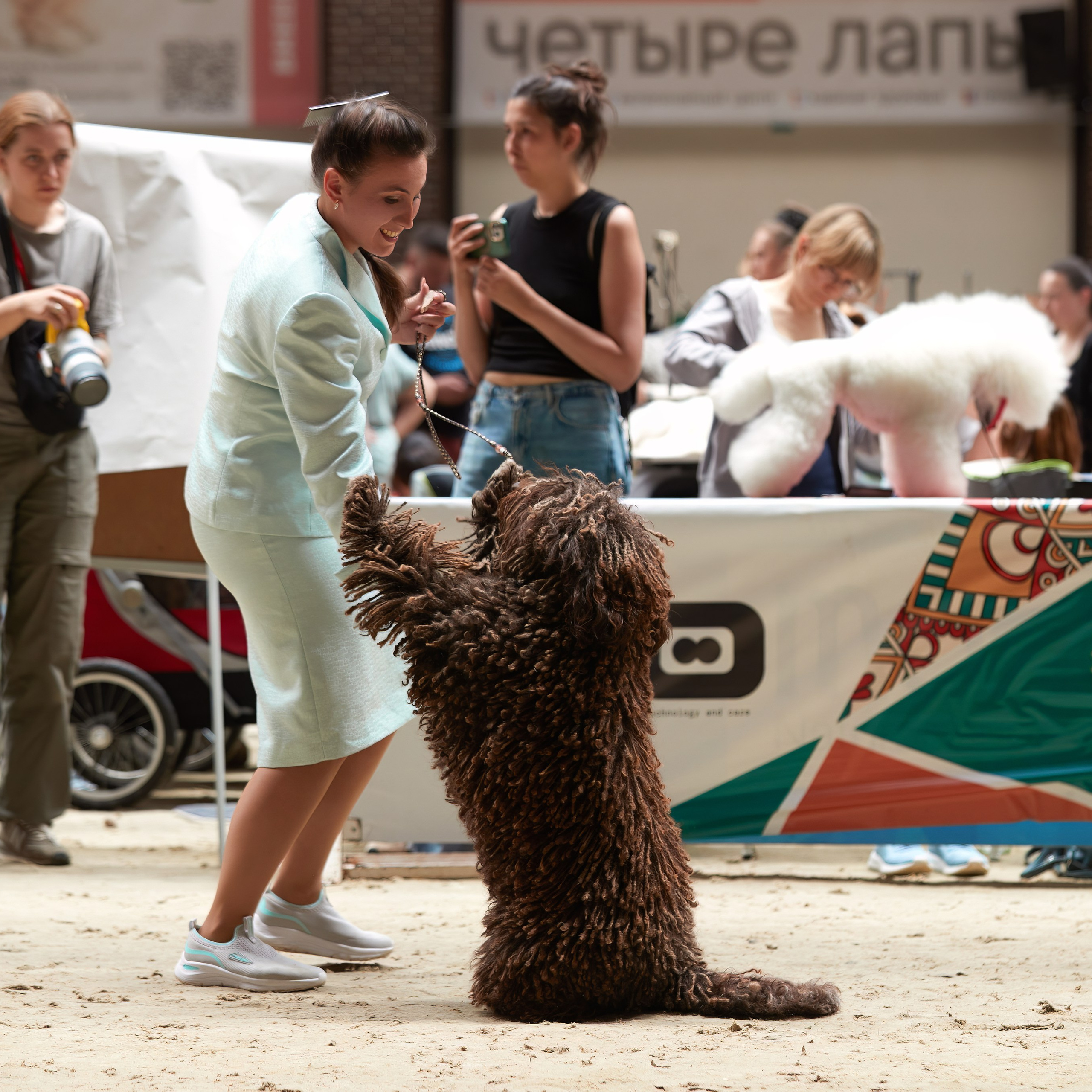 «Россия. Кубок РКФ 2024» и «Россия. Кубок Москвы 2024». ФОТОГРАФ-АНИМАЛИСТ l LANA POLYAKOVA