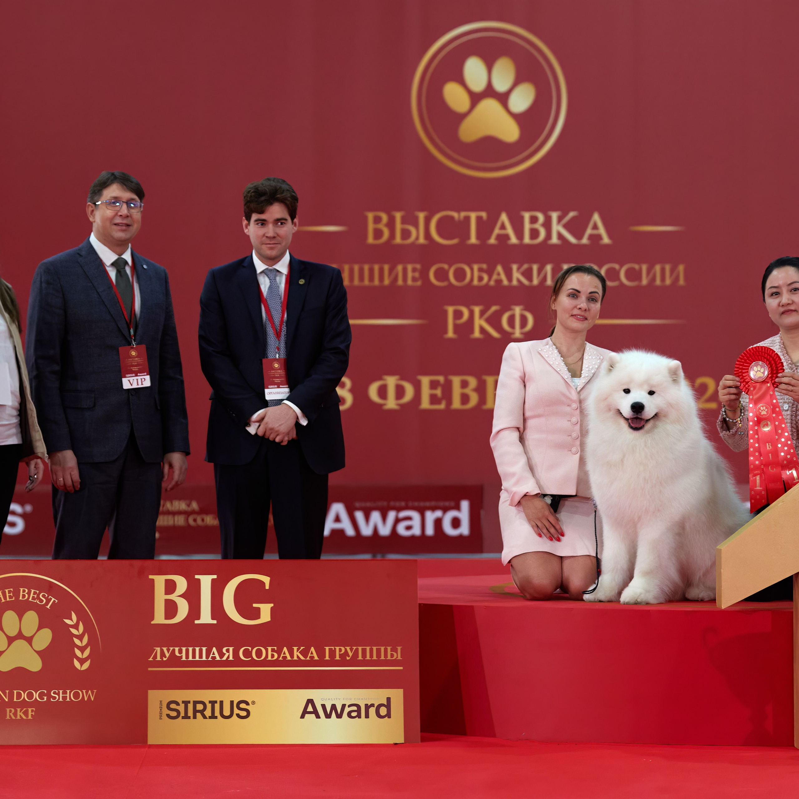 Новое шоу чемпионов «ЛУЧШИЕ СОБАКИ РОССИИ». ФОТОГРАФ-АНИМАЛИСТ l LANA POLYAKOVA