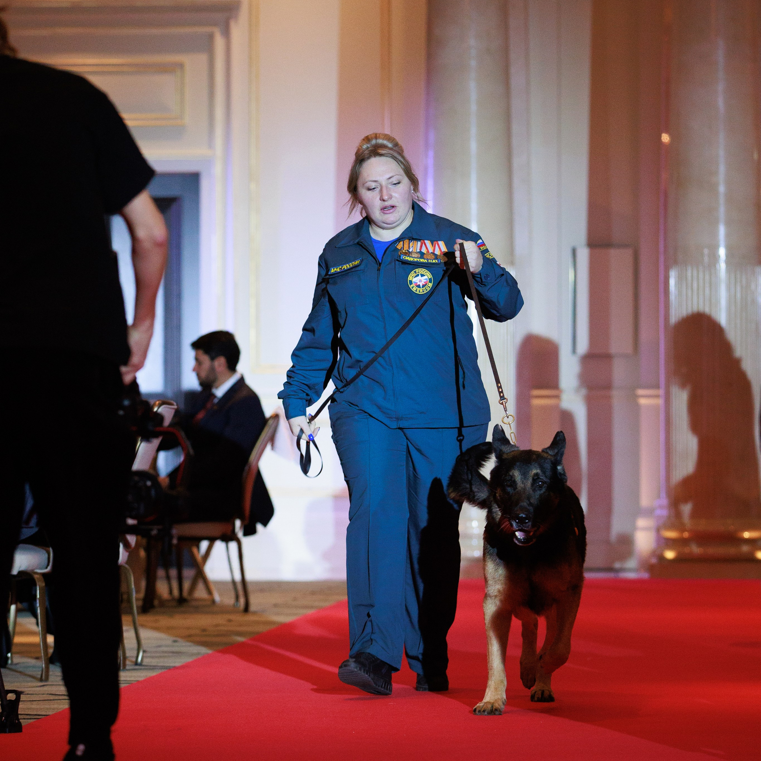 Репортаж с церемонии «BEST RUSSIAN DOG 2024». ФОТОГРАФ-АНИМАЛИСТ l LANA POLYAKOVA