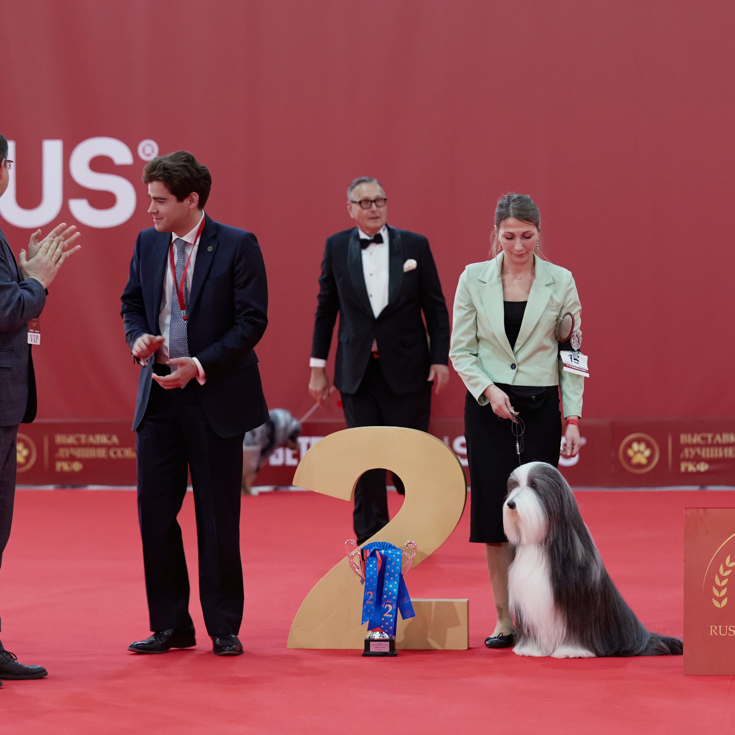 Новое шоу чемпионов «ЛУЧШИЕ СОБАКИ РОССИИ». ФОТОГРАФ-АНИМАЛИСТ l LANA POLYAKOVA