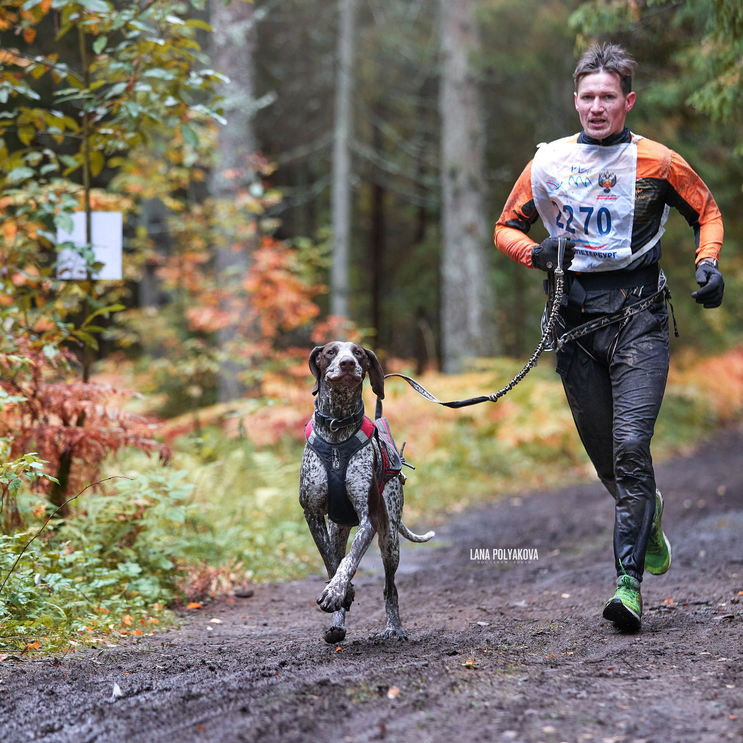 Чемпионат РКФ FCISDR 24-25.09.22. ФОТОГРАФ-АНИМАЛИСТ l LANA POLYAKOVA