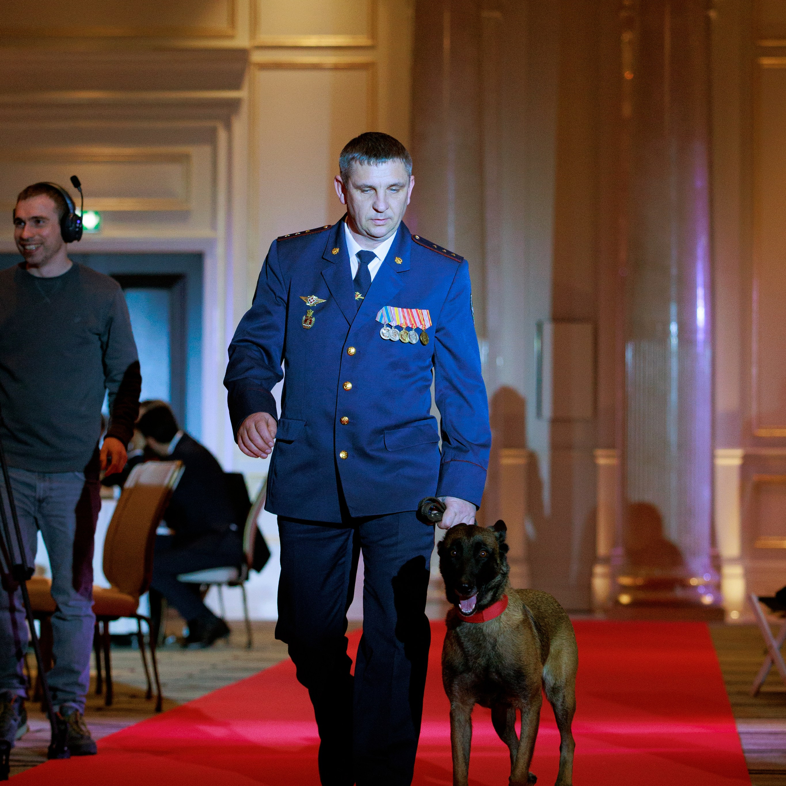 Репортаж с церемонии «BEST RUSSIAN DOG 2024». ФОТОГРАФ-АНИМАЛИСТ l LANA POLYAKOVA