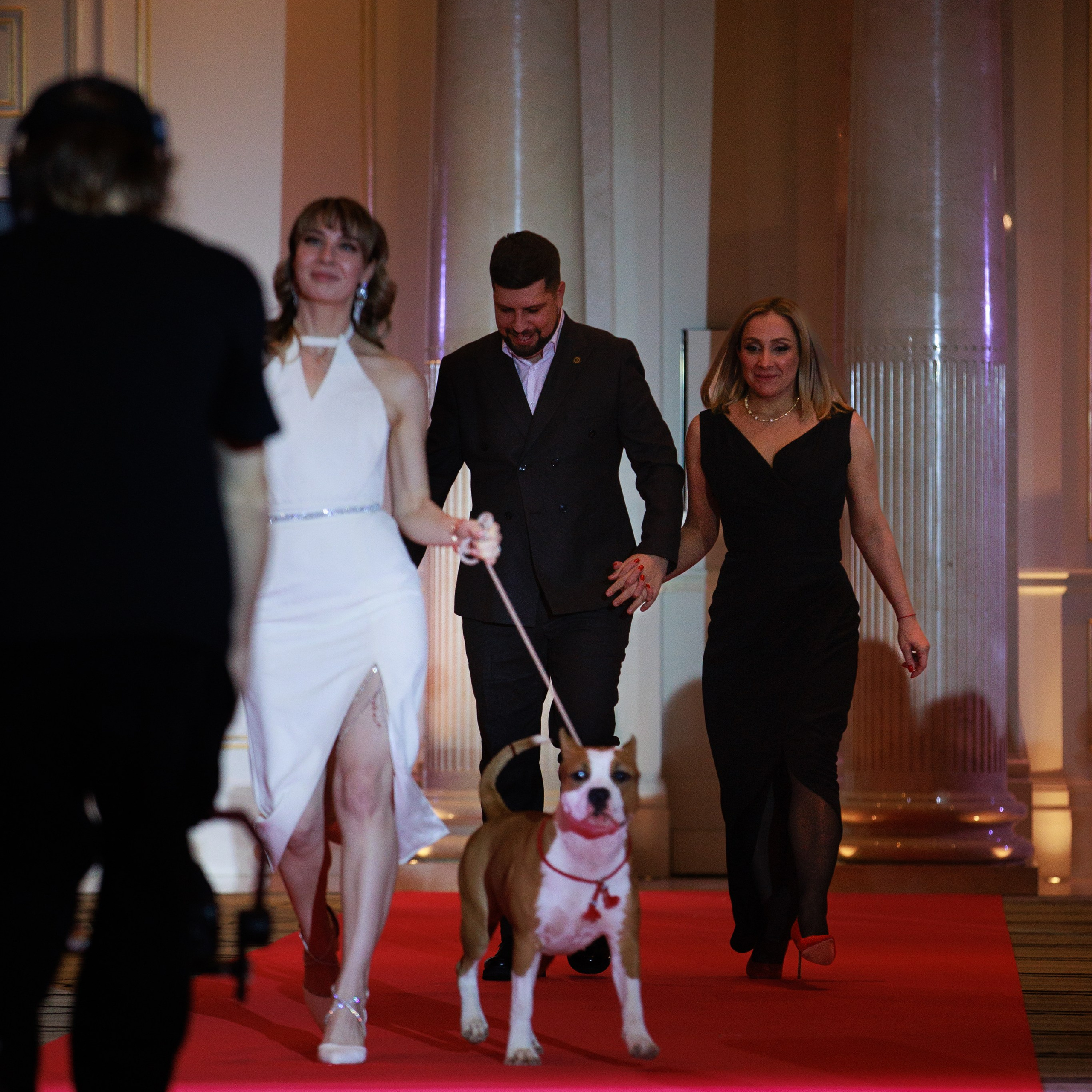 Репортаж с церемонии «BEST RUSSIAN DOG 2024». ФОТОГРАФ-АНИМАЛИСТ l LANA POLYAKOVA