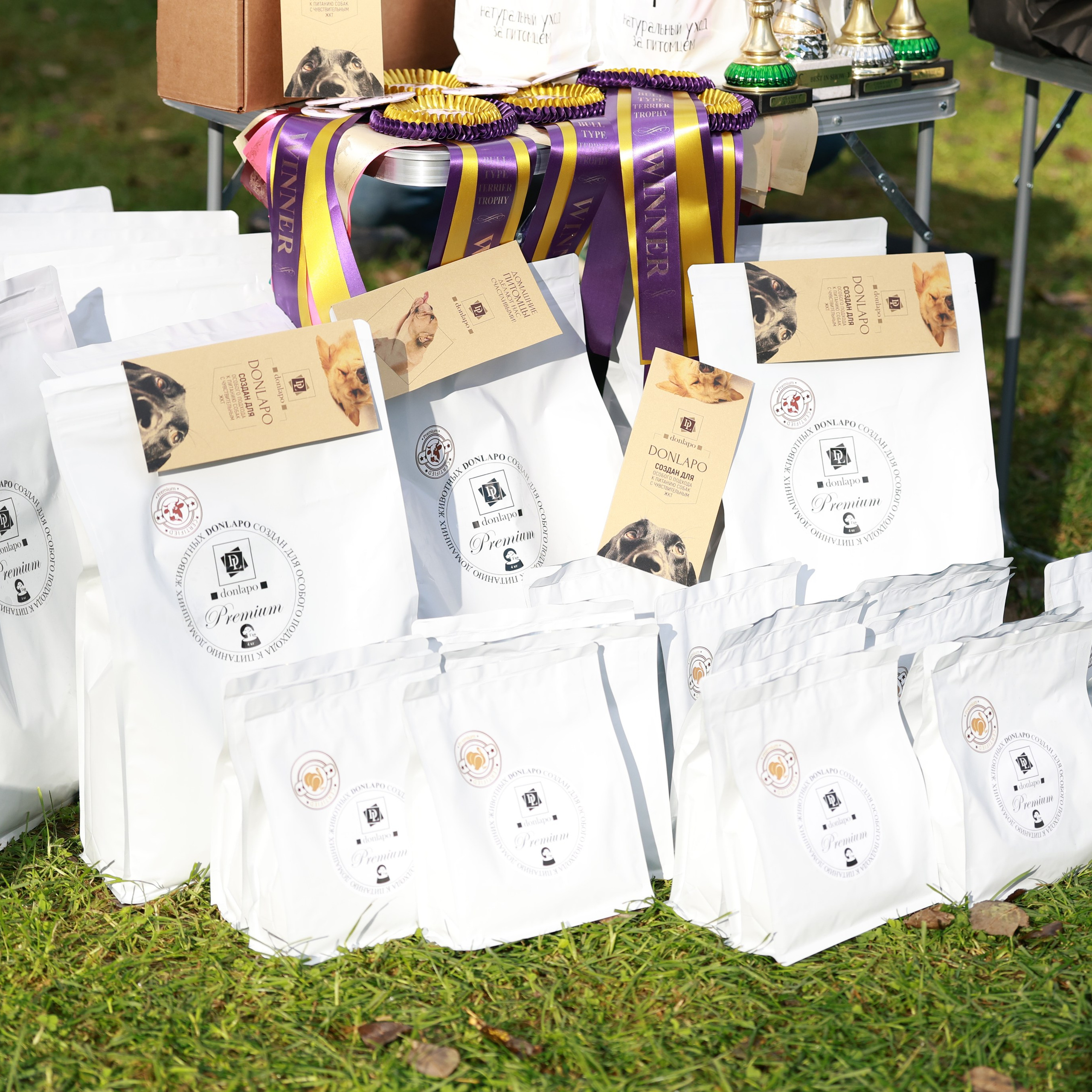 27-28.09.2025 ВЫСТАВКИ СОБАК ВСЕХ ПОРОД (САС, ЧРКФ, ЧФ). ФОТОГРАФ-АНИМАЛИСТ l LANA POLYAKOVA