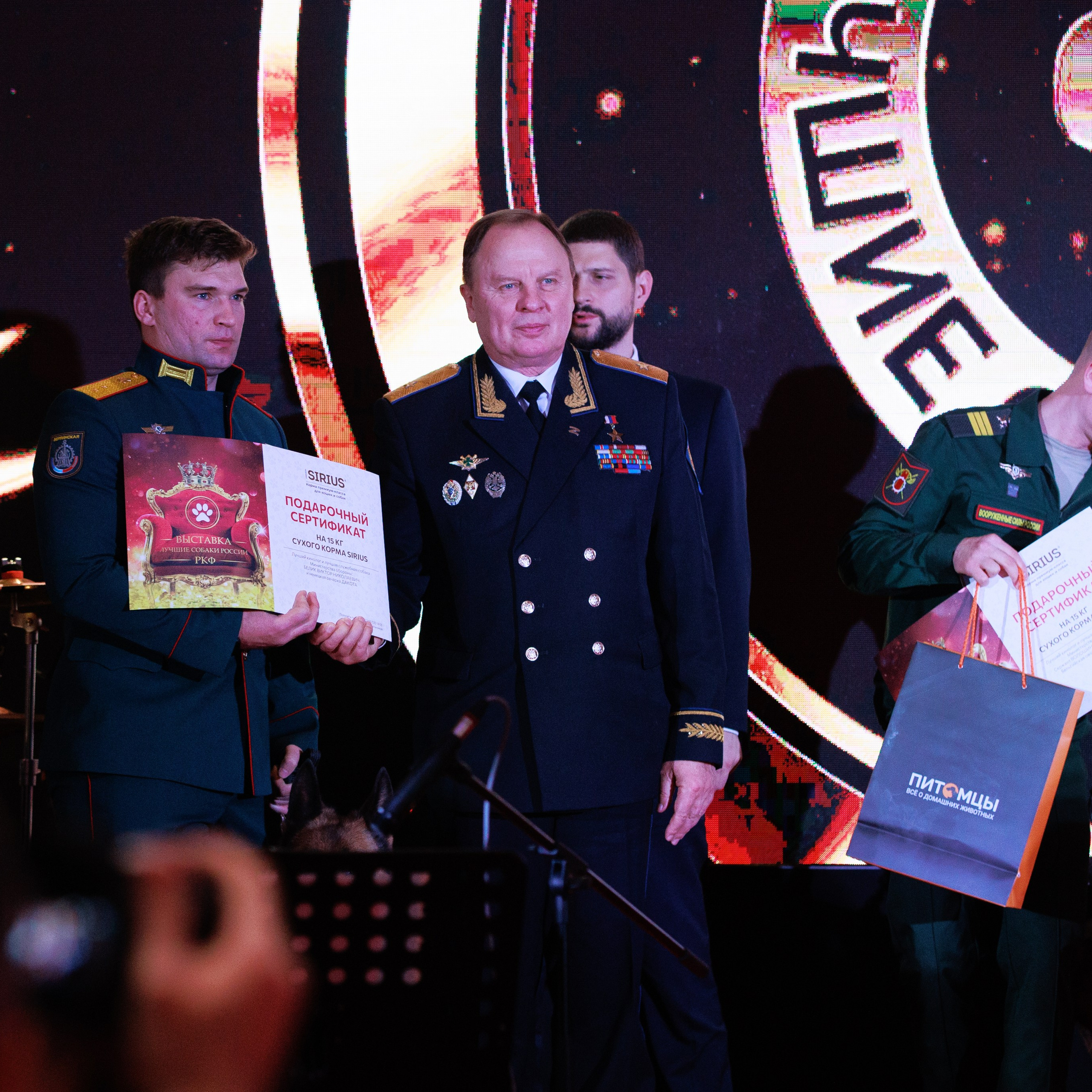 Репортаж с церемонии «BEST RUSSIAN DOG 2024». ФОТОГРАФ-АНИМАЛИСТ l LANA POLYAKOVA