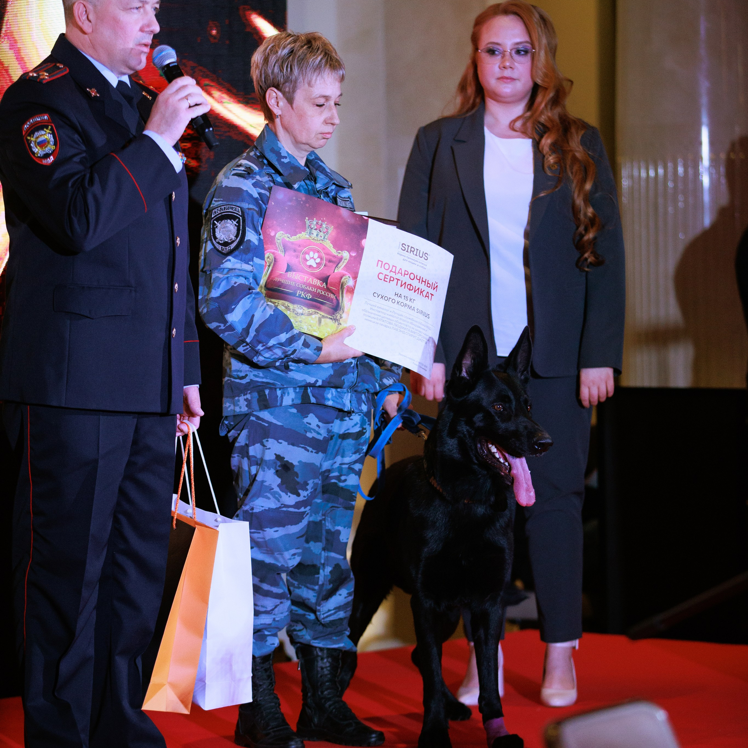 Репортаж с церемонии «BEST RUSSIAN DOG 2024». ФОТОГРАФ-АНИМАЛИСТ l LANA POLYAKOVA